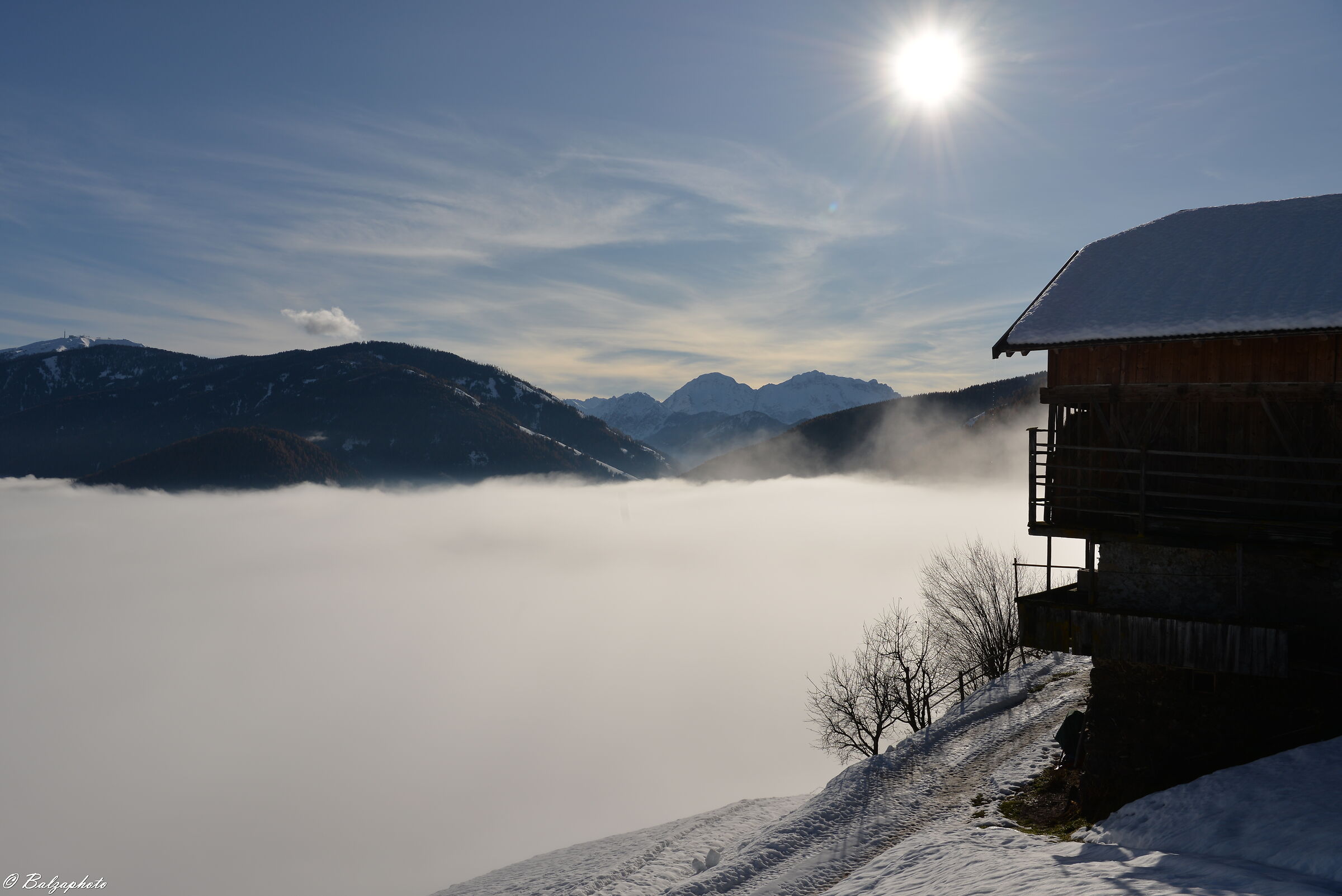 Ellen maso di montagna-nebbia fondovalle novembre 2019