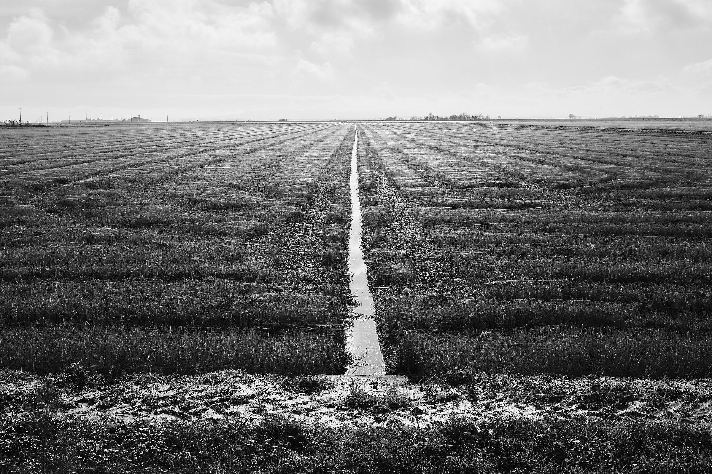 Risaie Vercellesi: tardo autunno