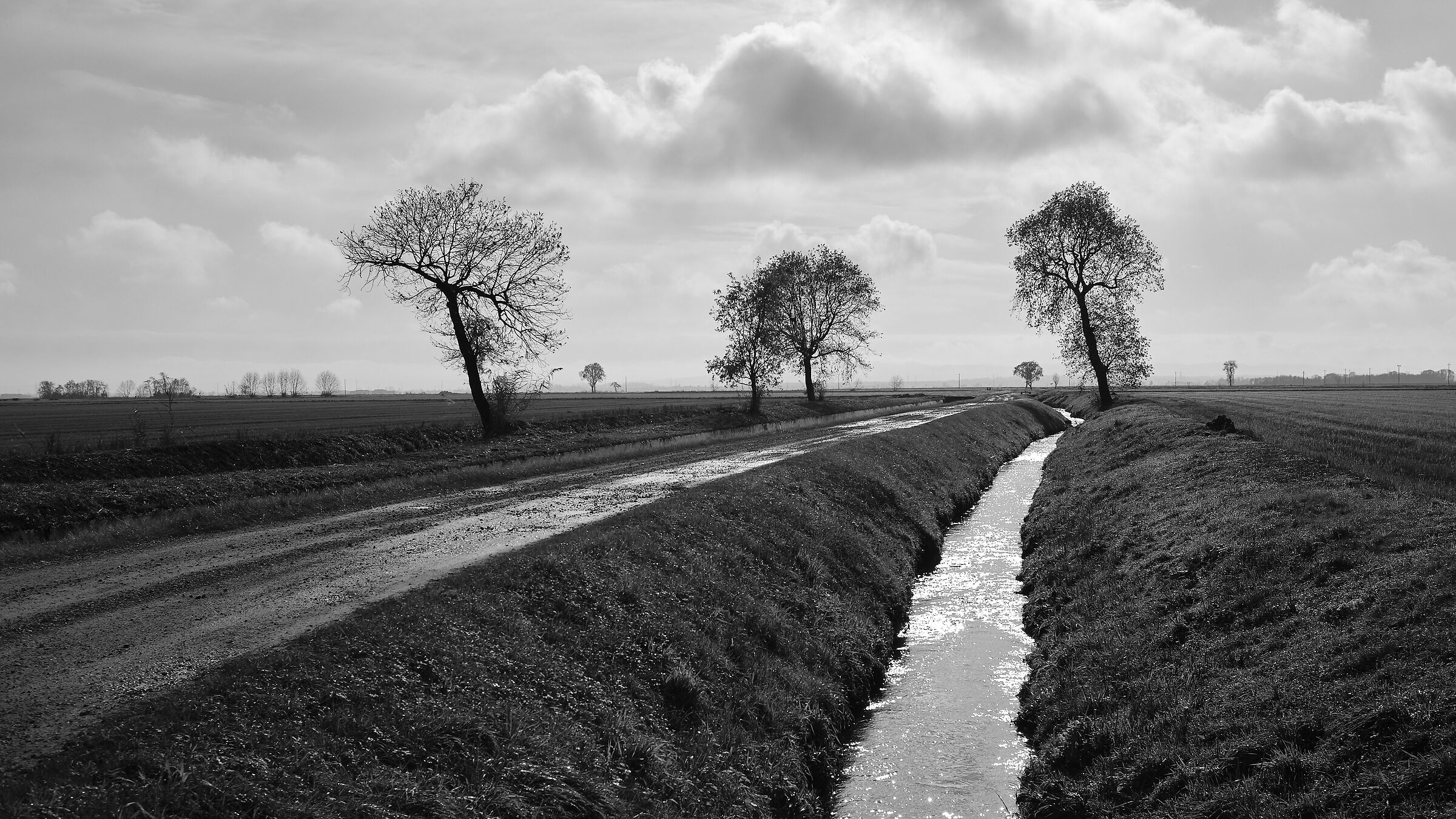 Risaie Vercellesi: tardo autunno