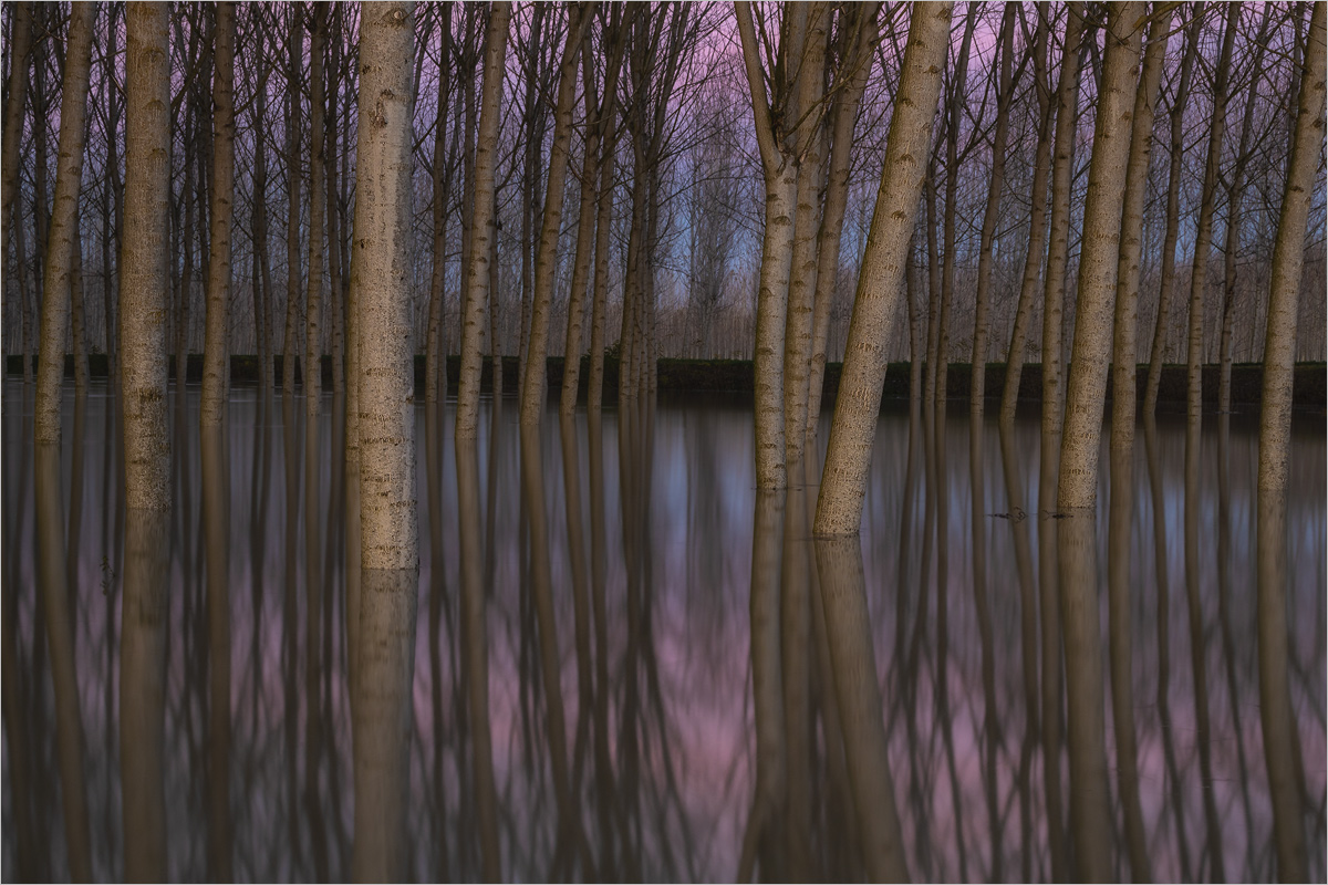 Purple Stillness, Outst.