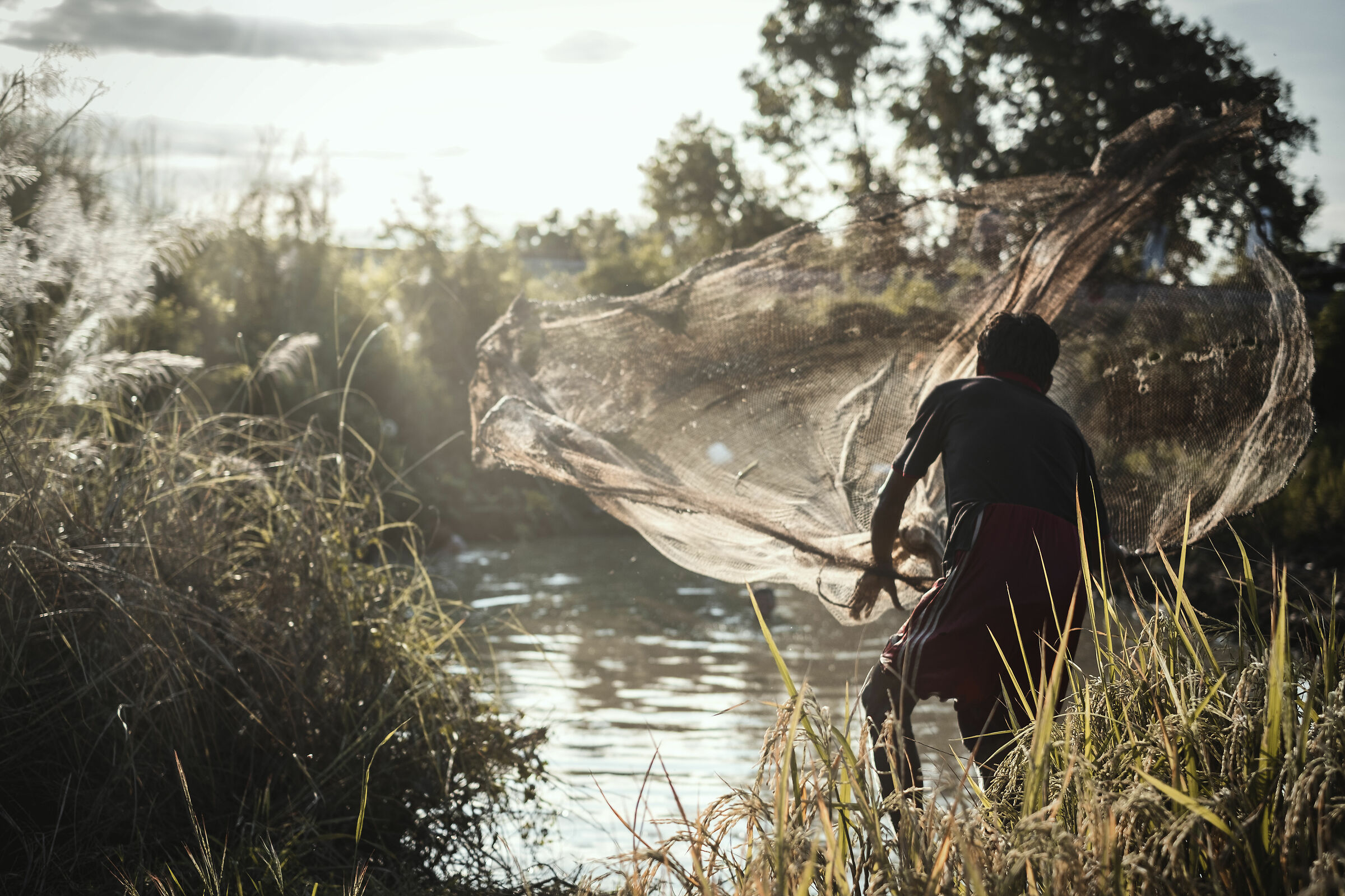 Fisherman in the swamp