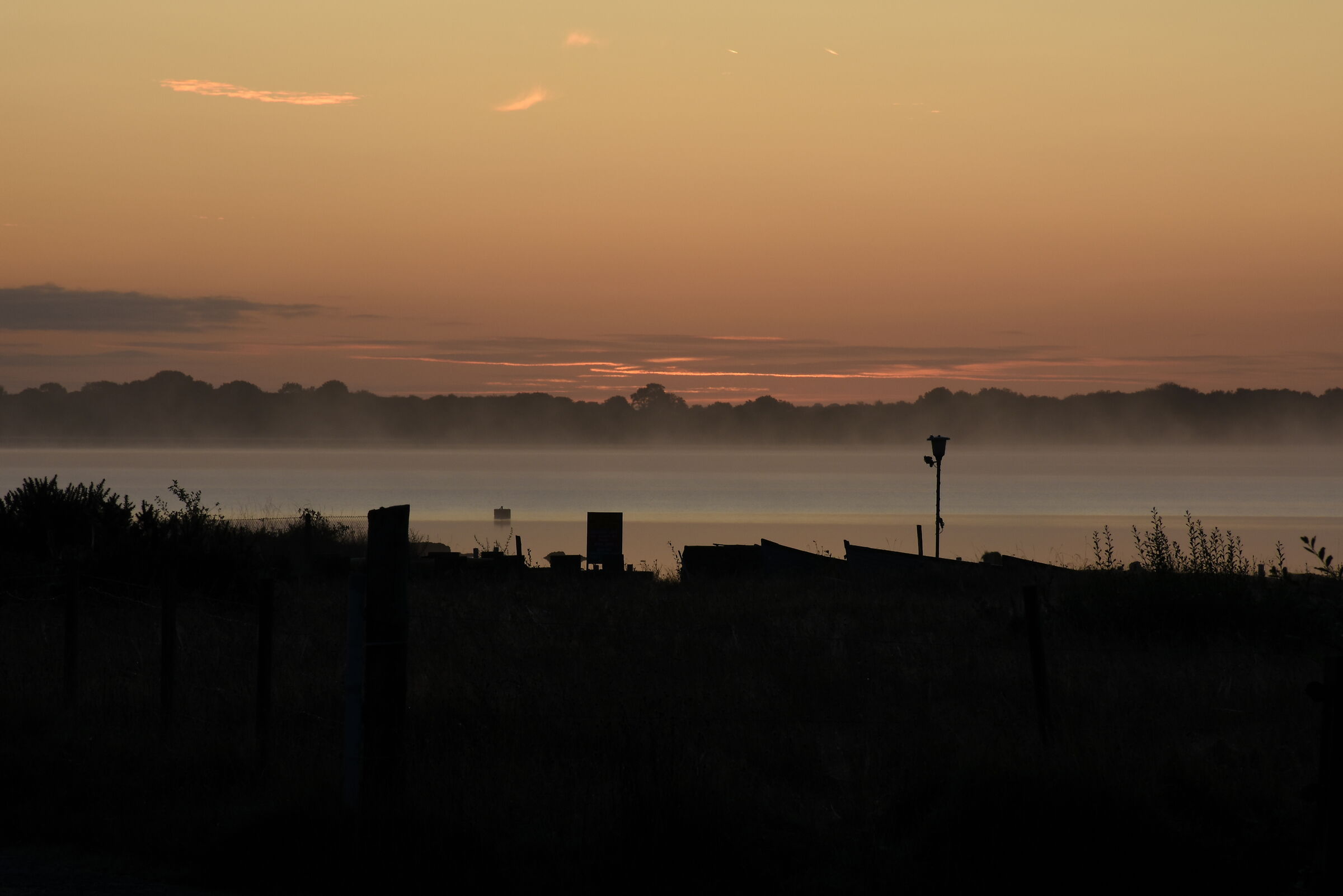 Nebbie all'alba