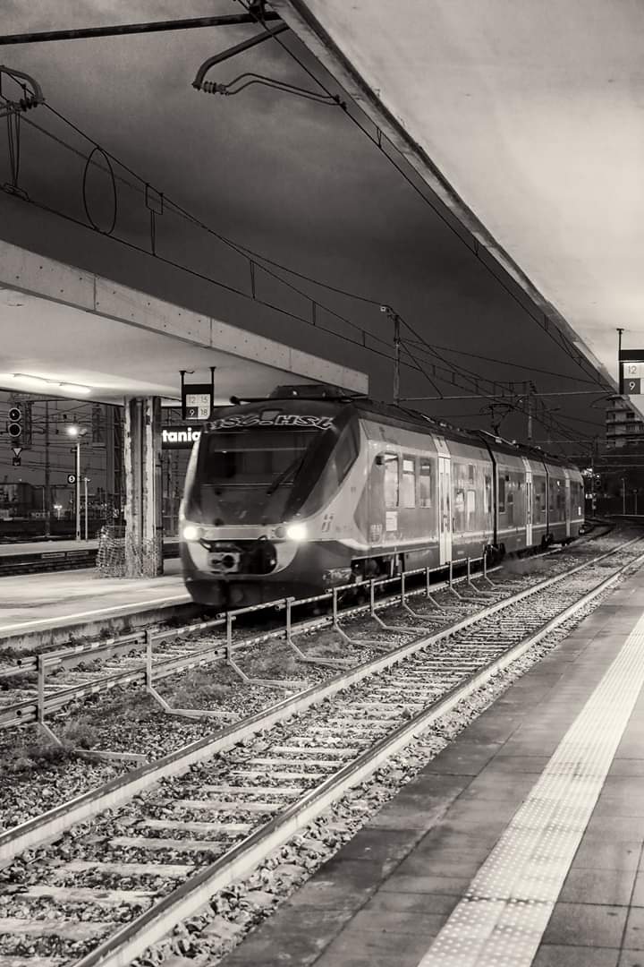 The Train and the Station