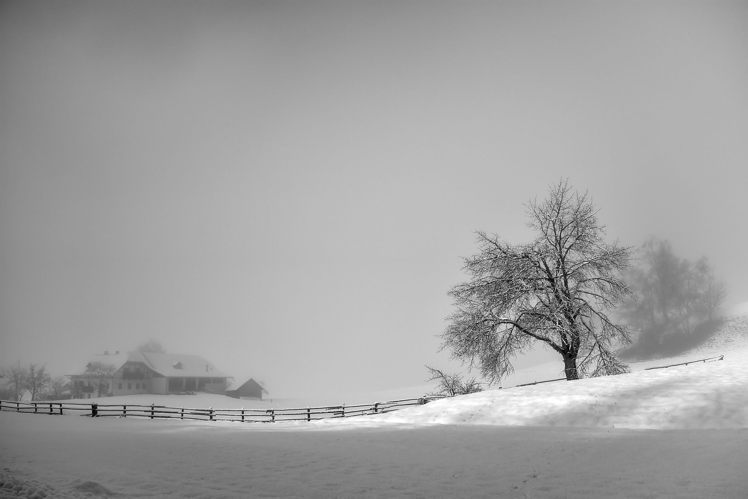 Walchhorn, neve,sole e nebbia