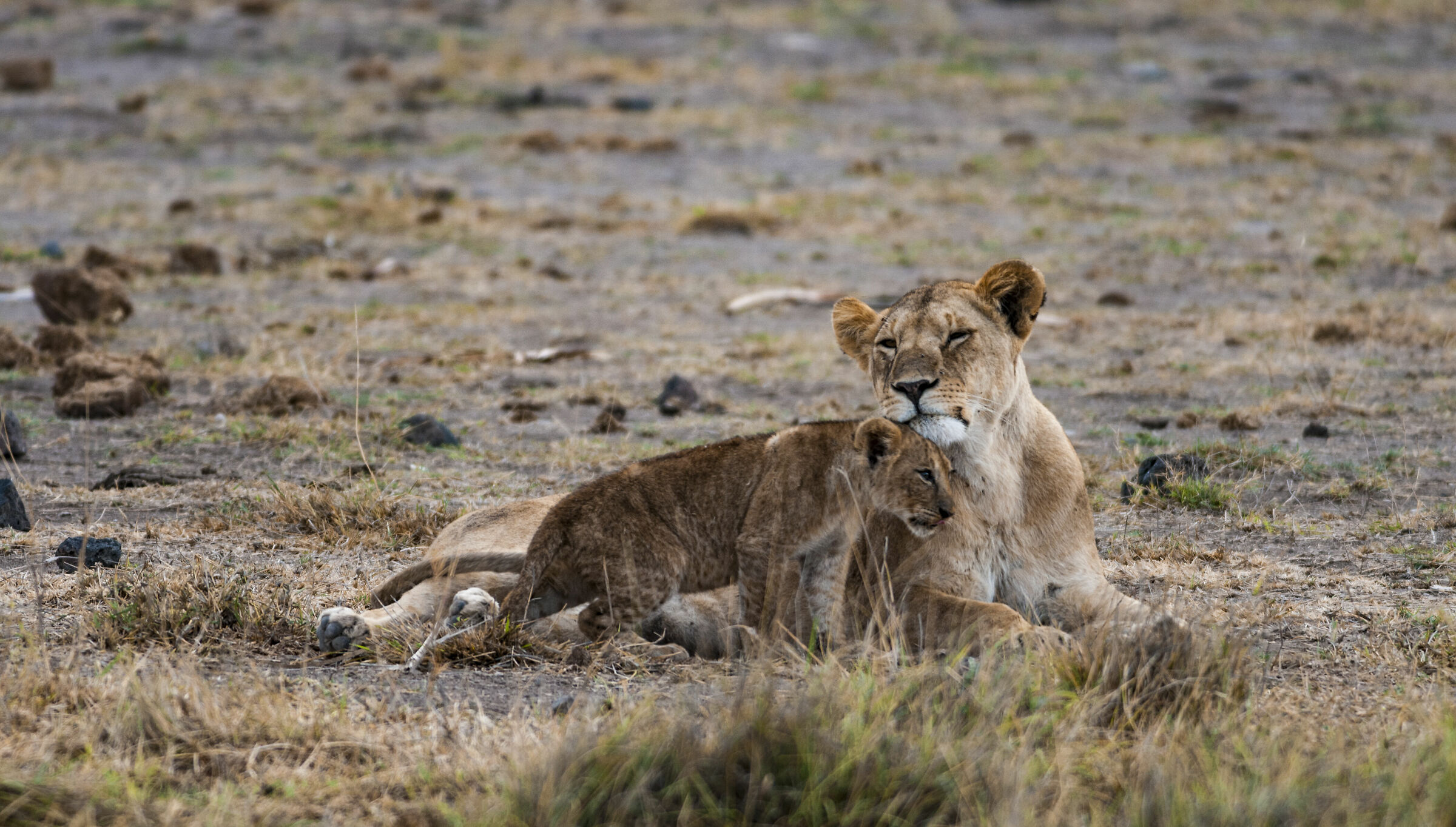 MOTHERHOOD, PARENTHOOD, IN