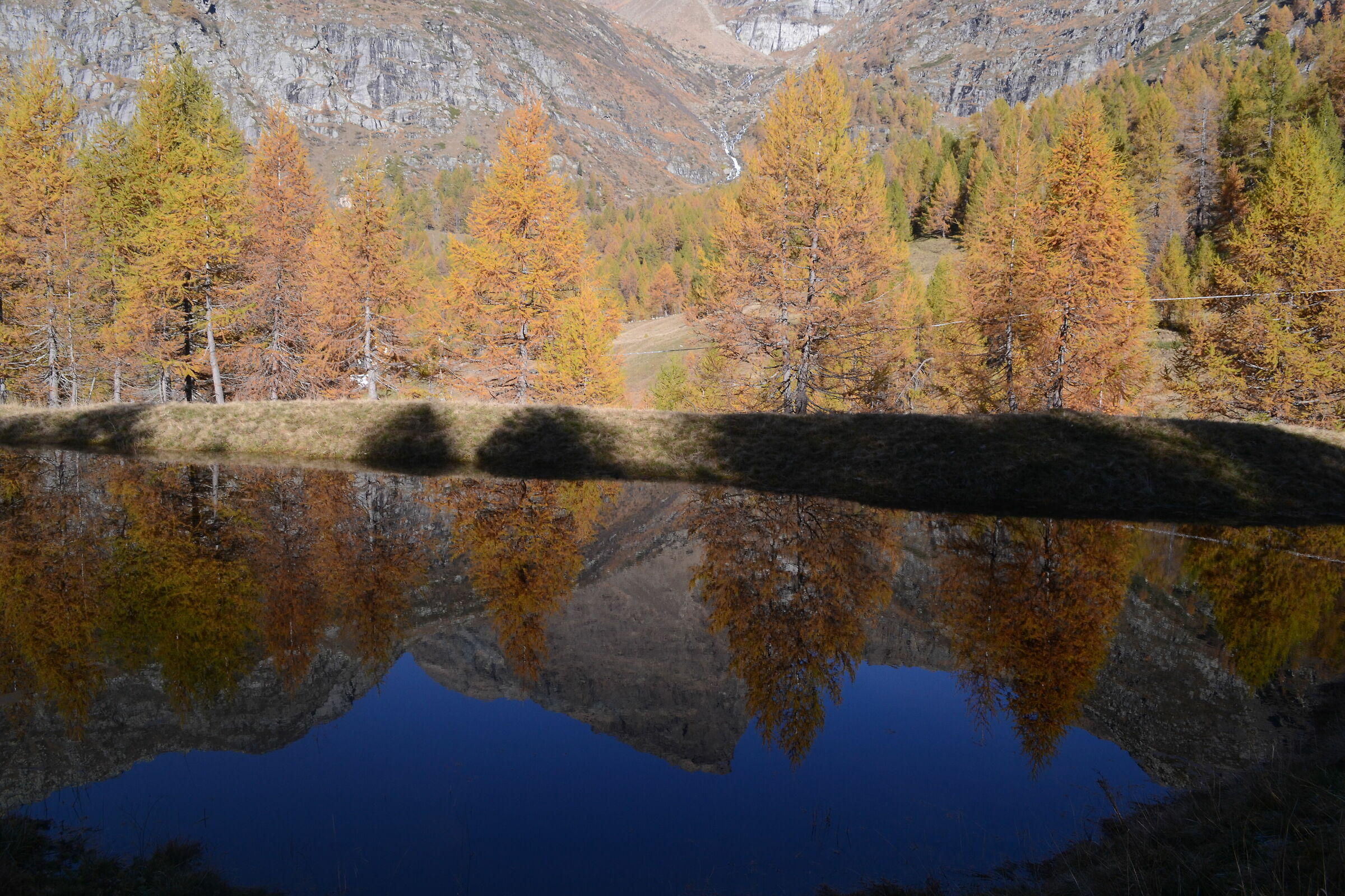 Reflections