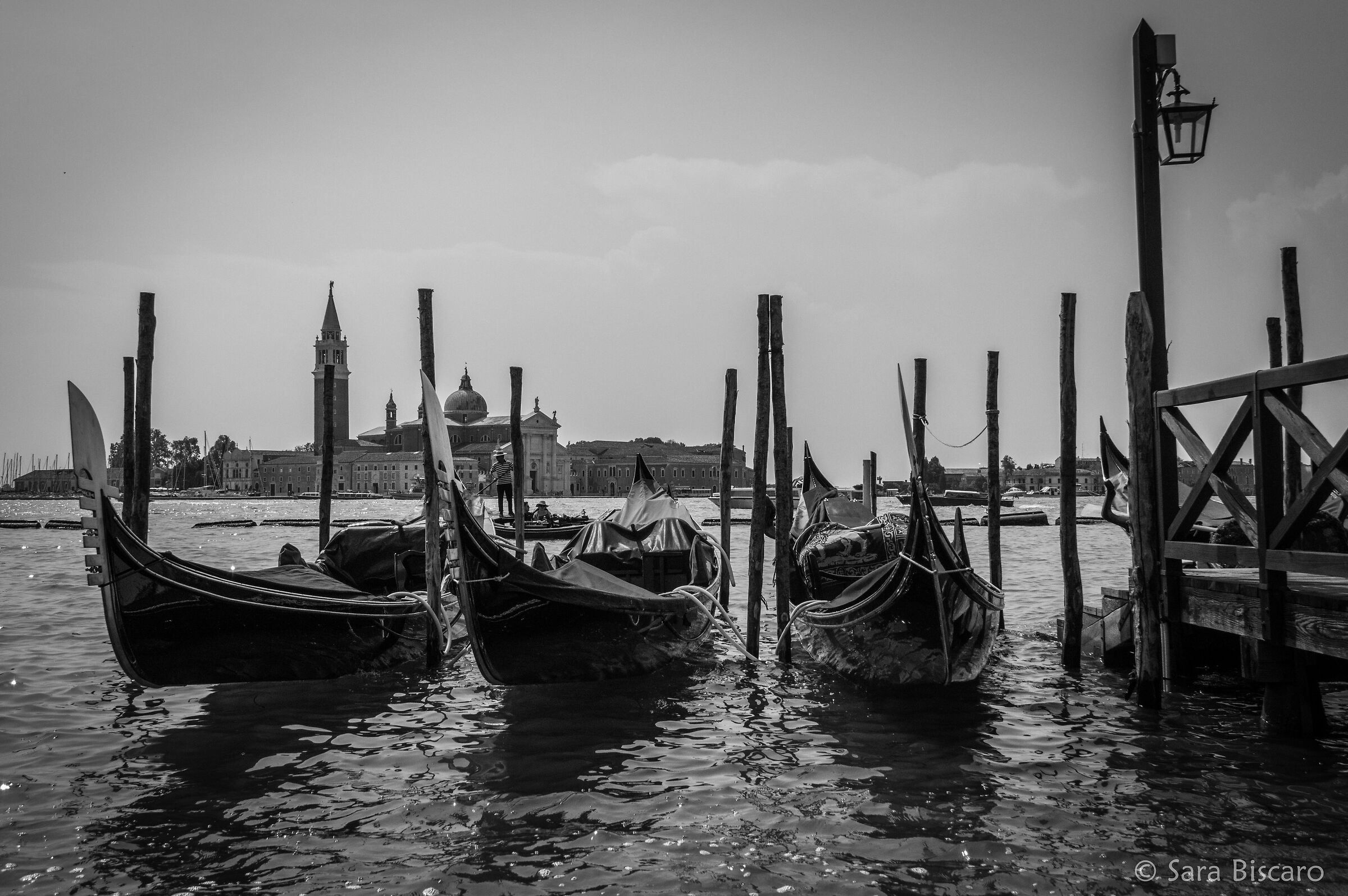 Venezia - Il riposo delle gondole