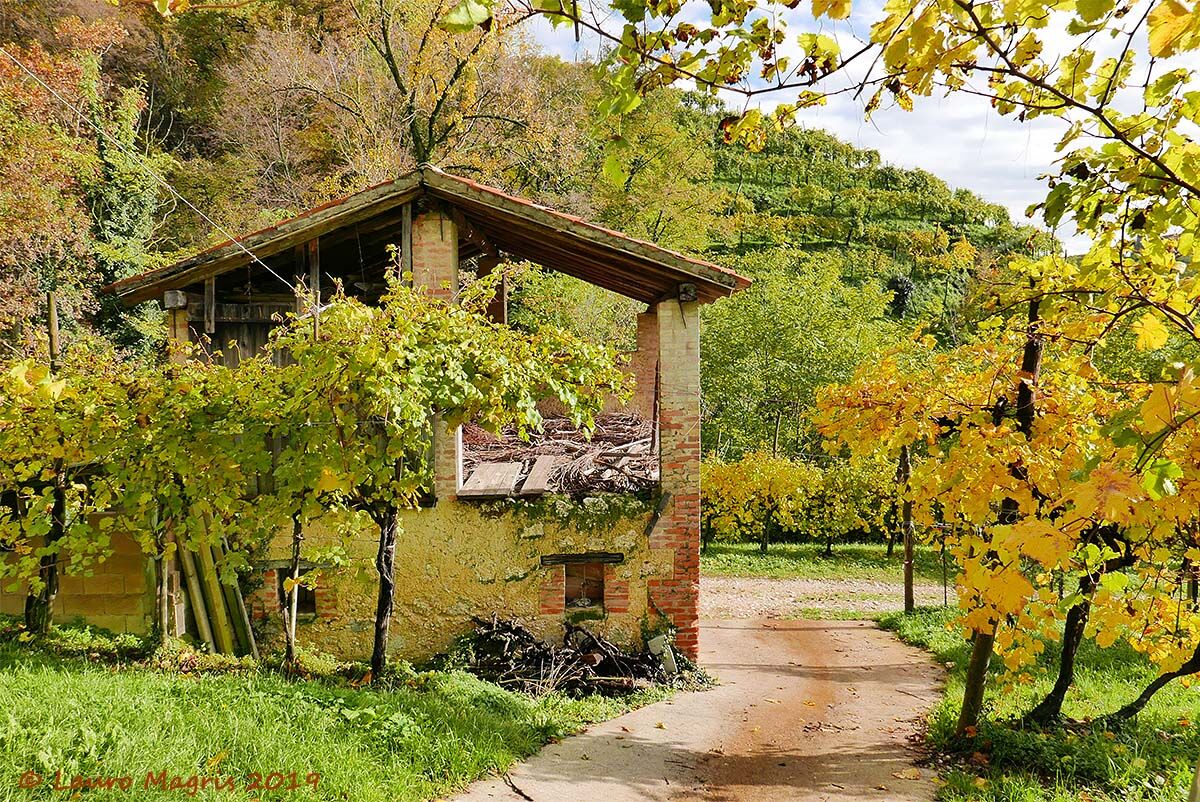 Under the roof nothing