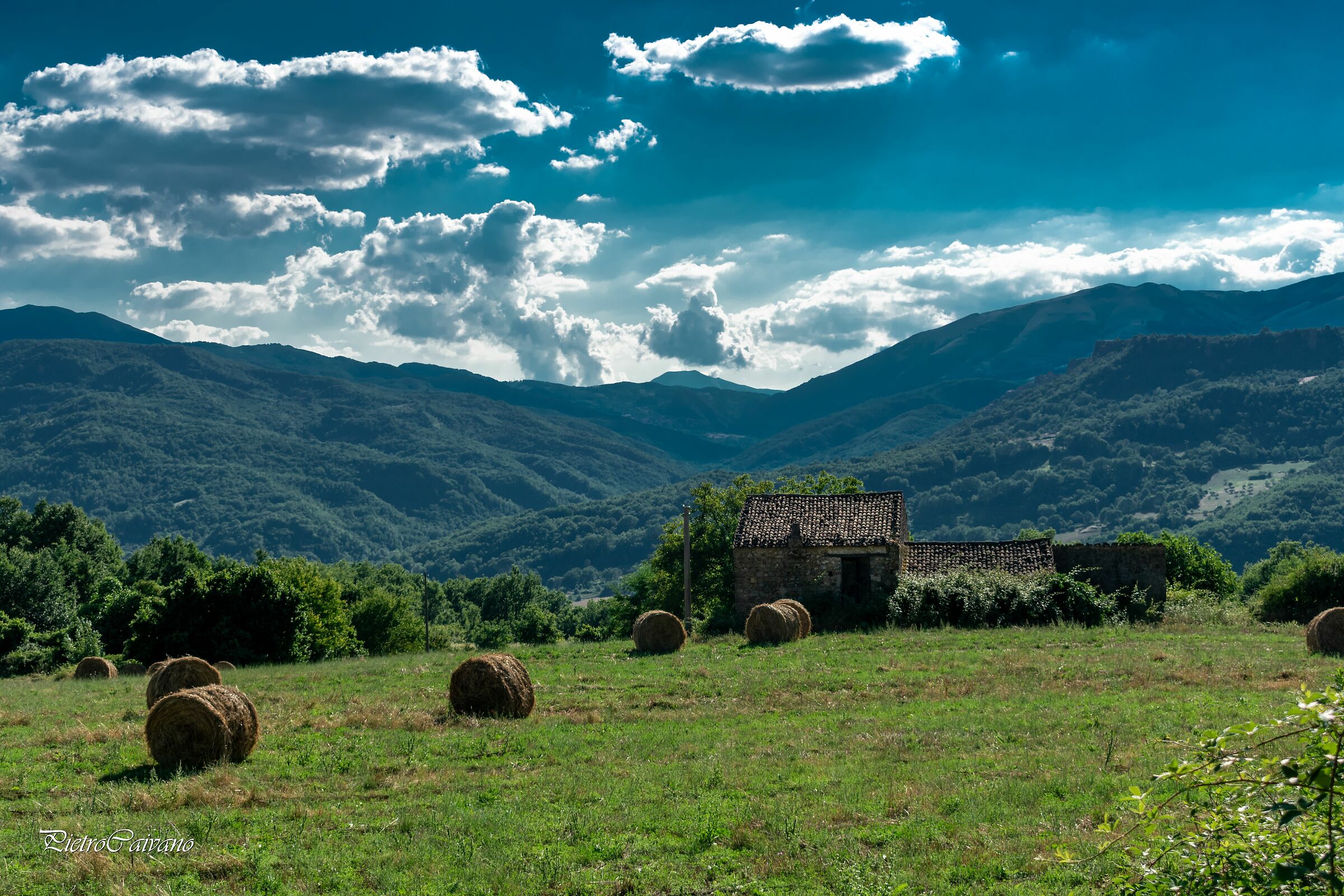 In the green valleys