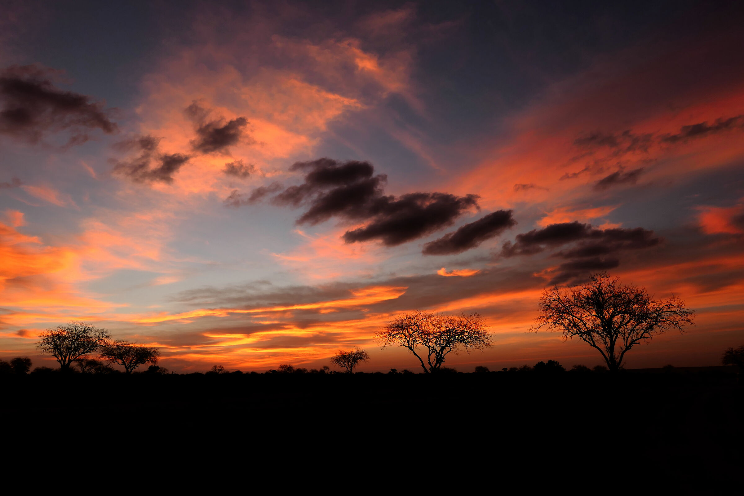 African sunset