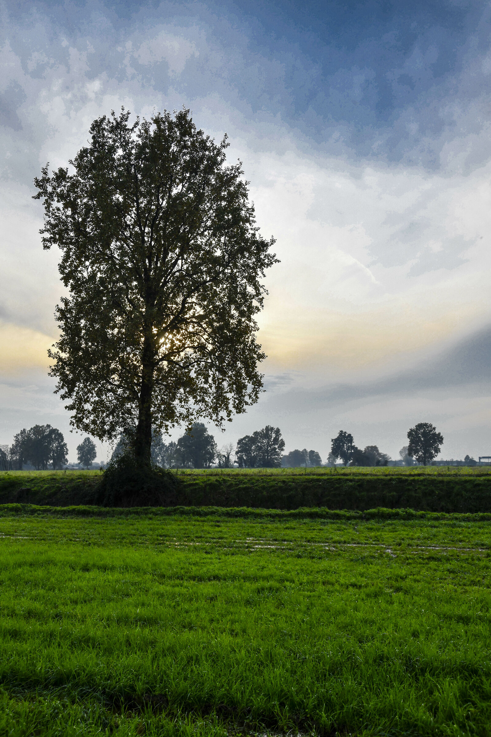 Muzza Channel - Villambrera