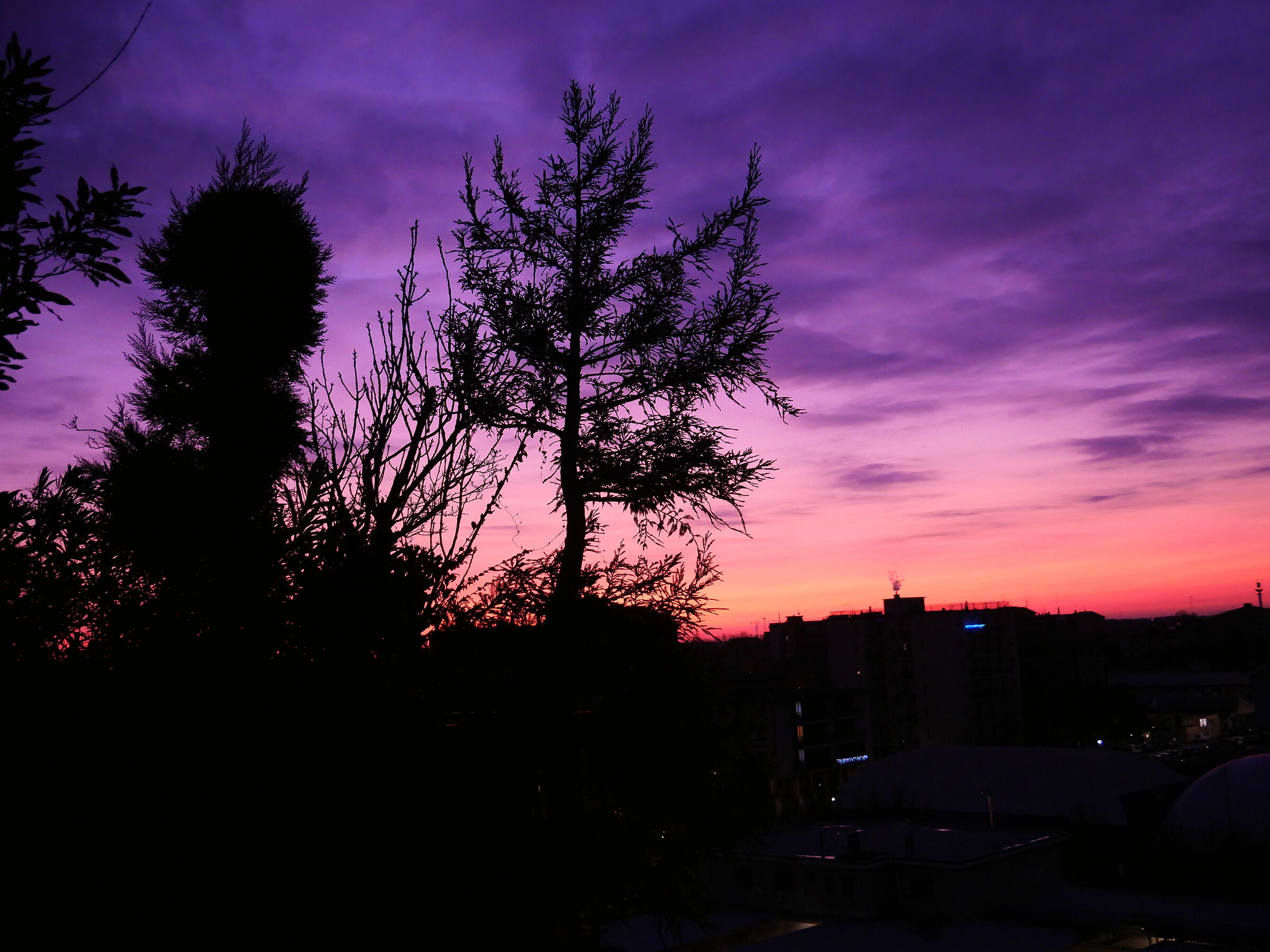 Winter sunrise in Corsico