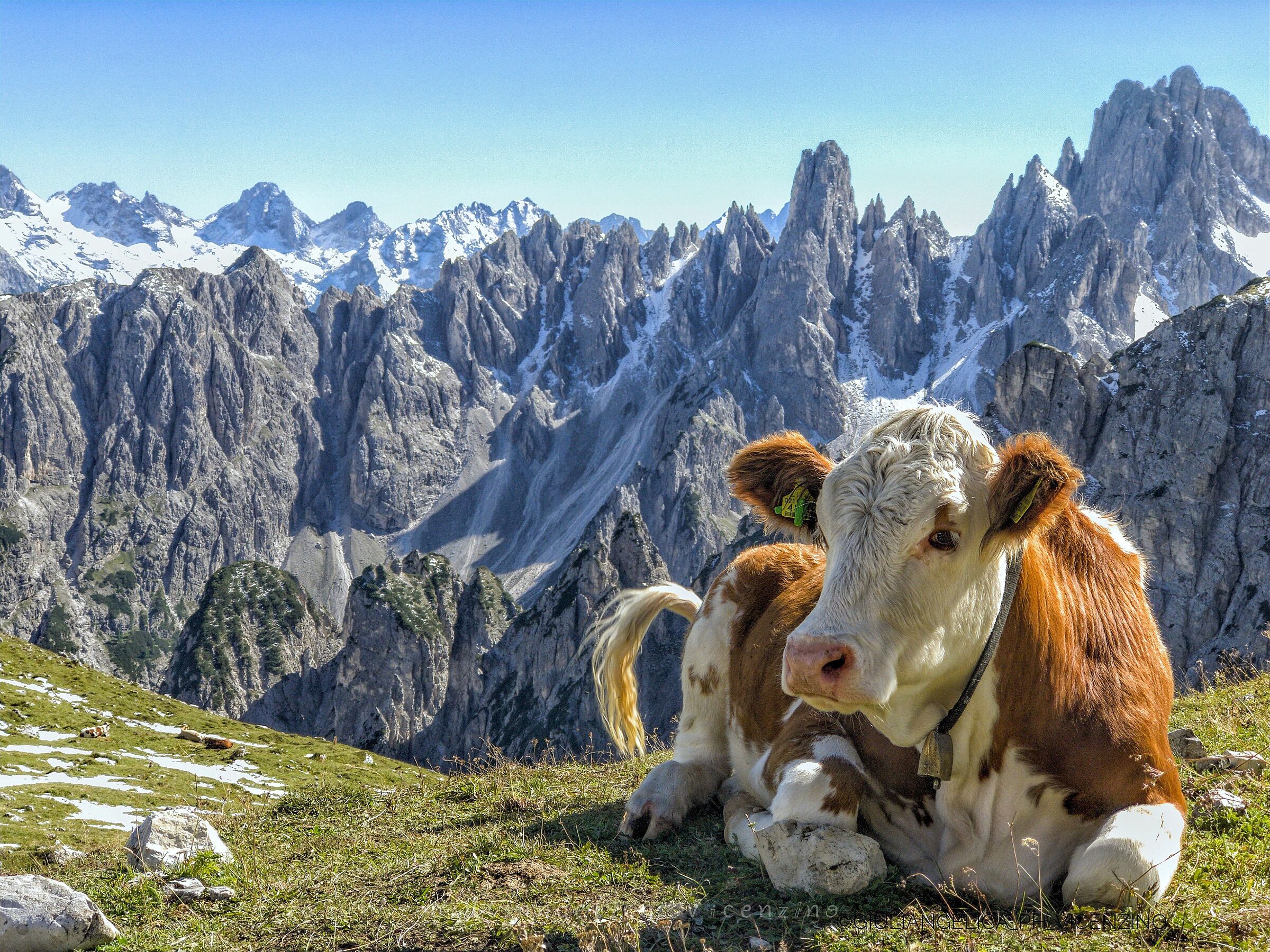 Quasi quasi restavo quassù