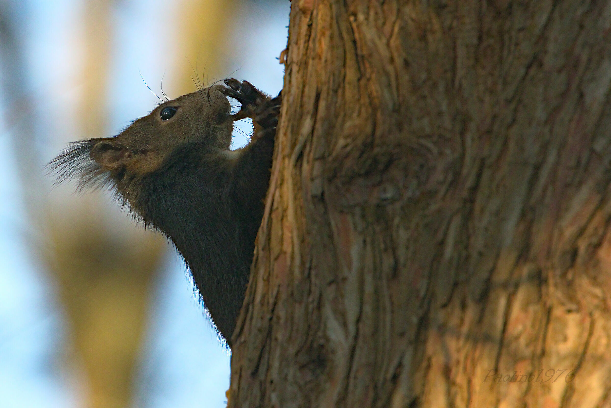 I Lecco your fingers