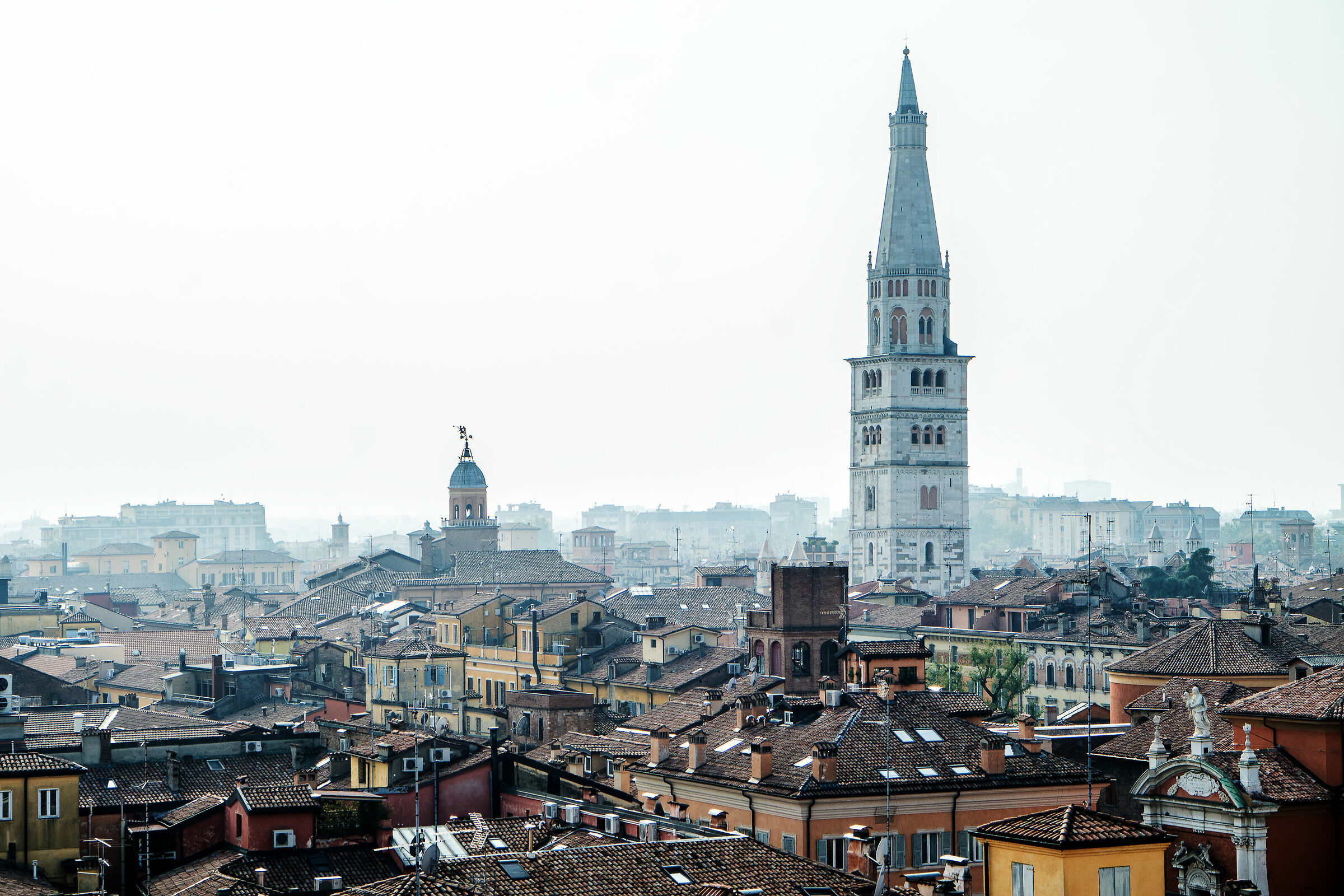 Ghirlandina, la pioppa di Modena