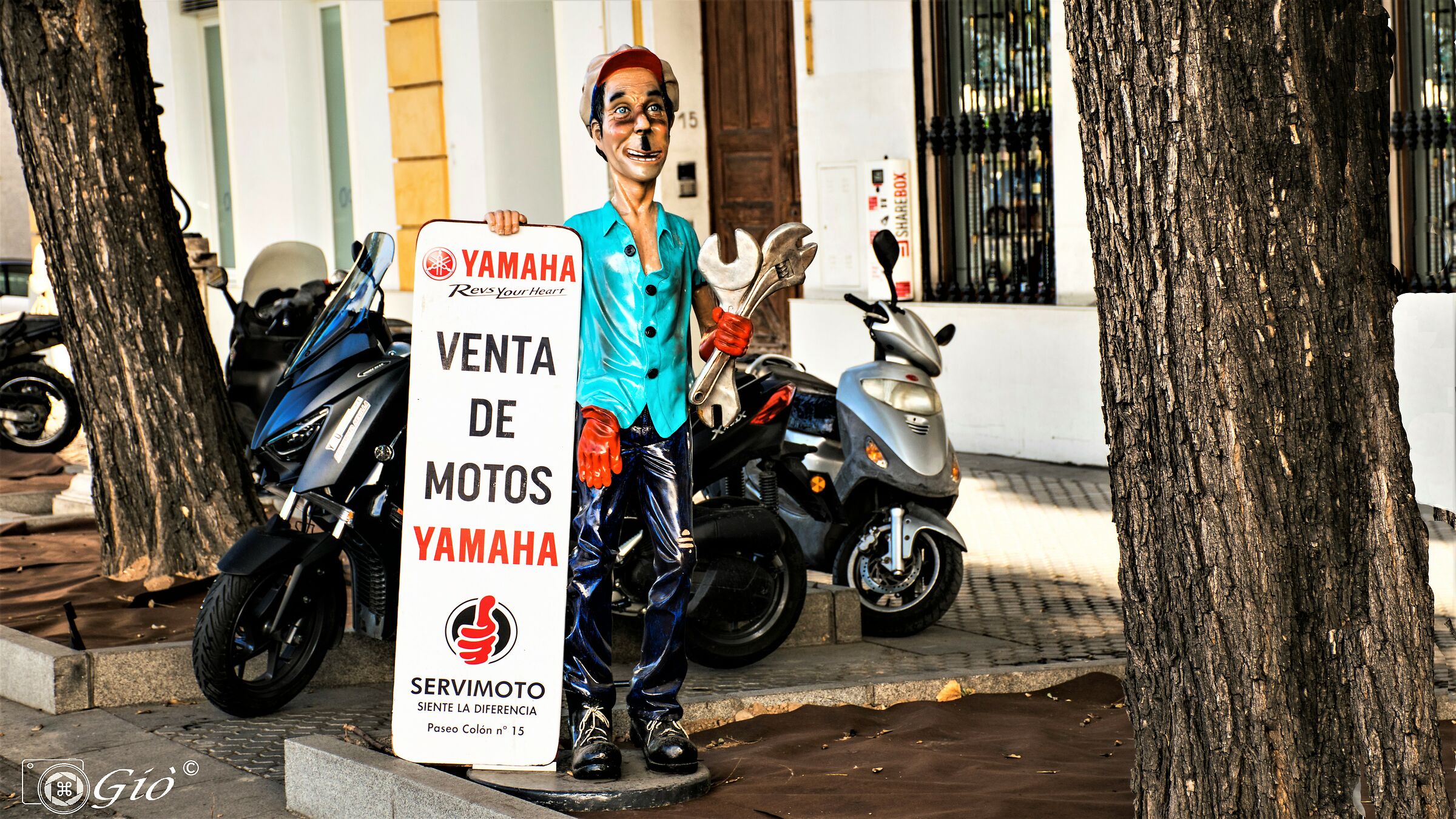 witty and captivating