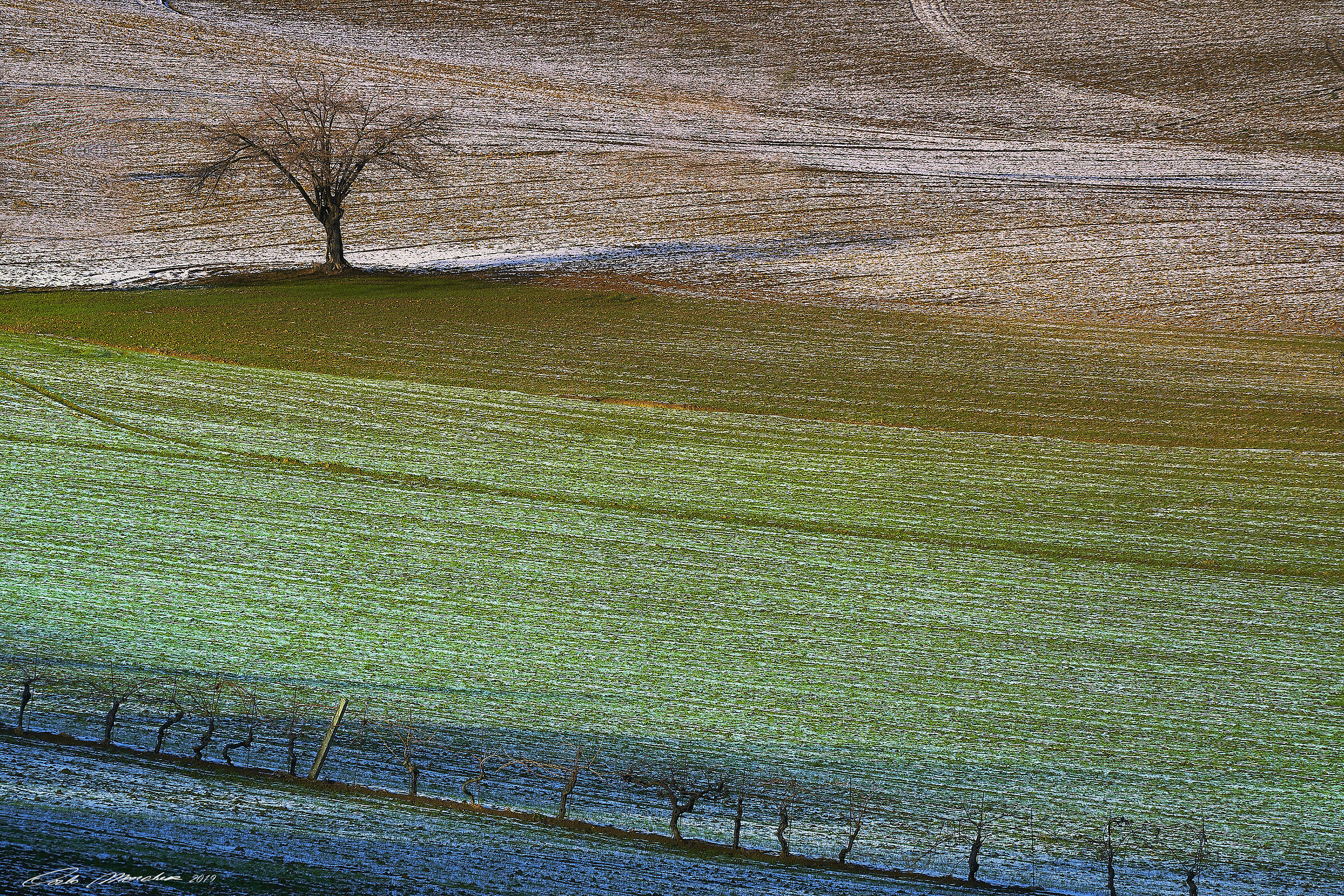 Between autumn and winter
