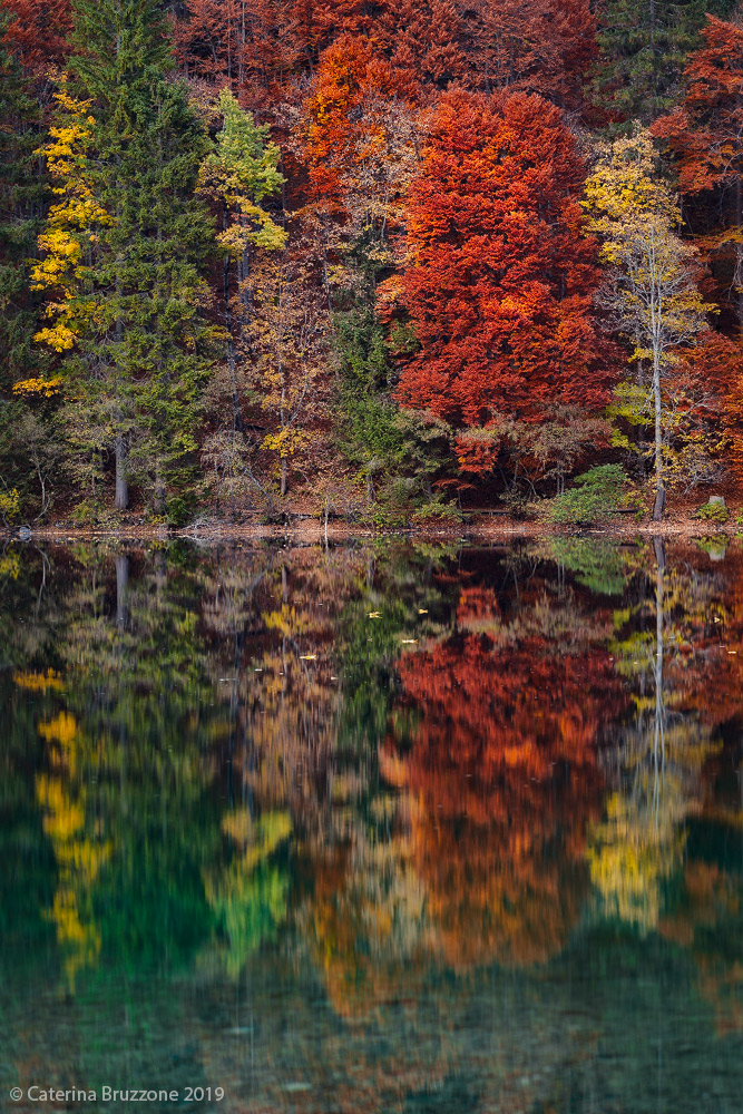 Colors on the lake