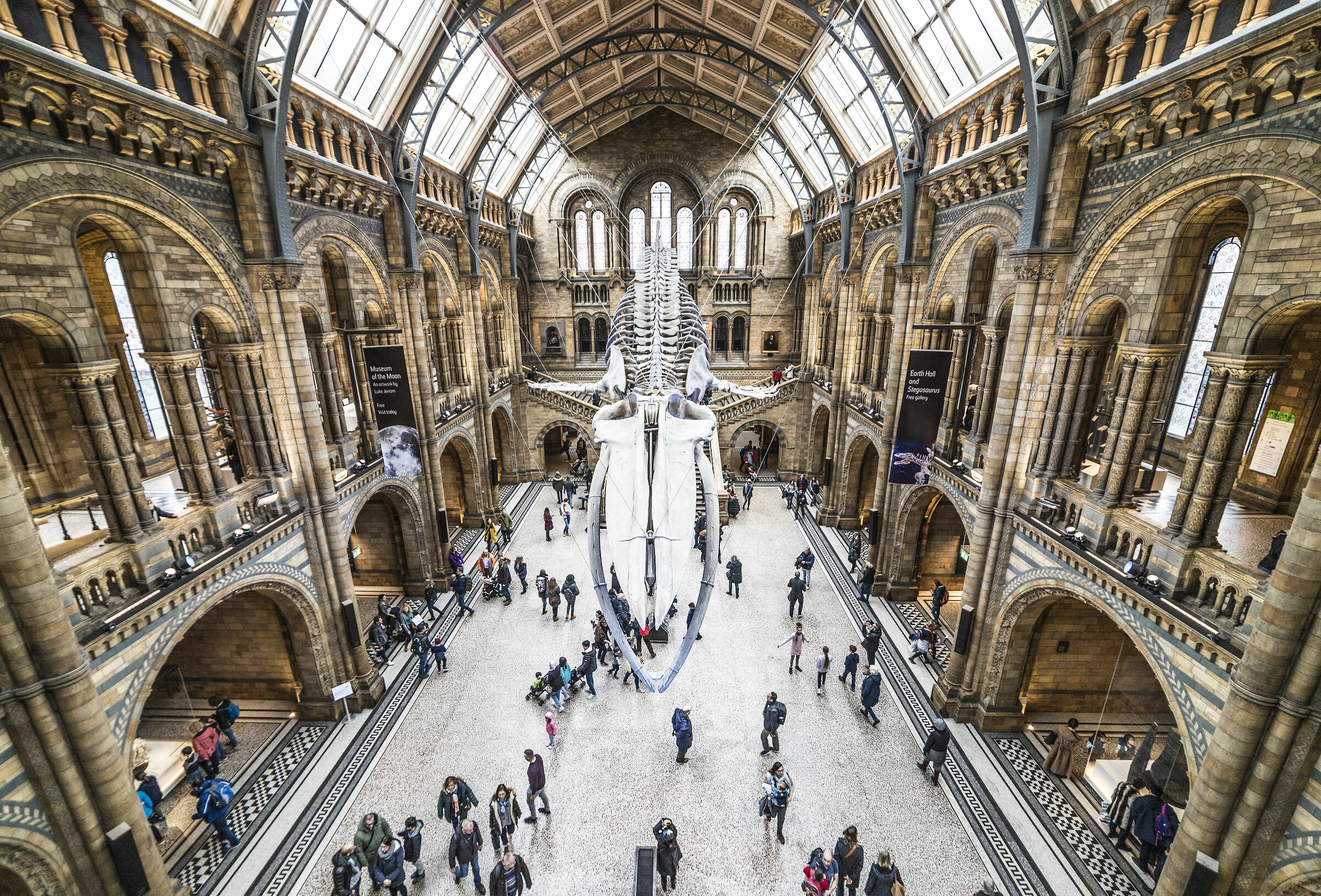 Natural History Museum