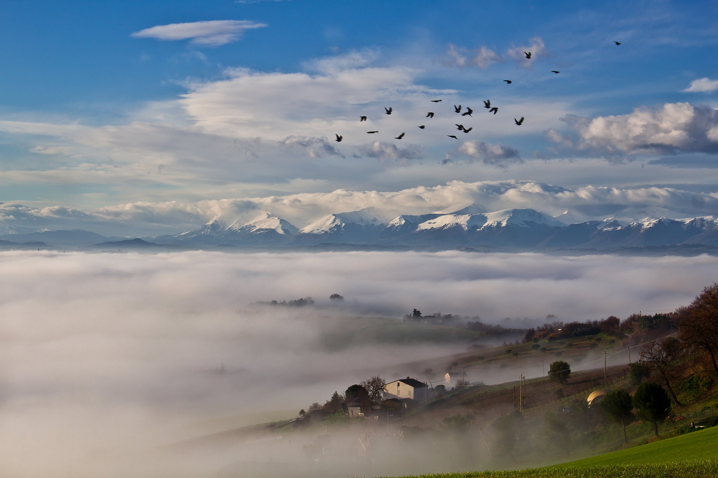 Fog in the countryside