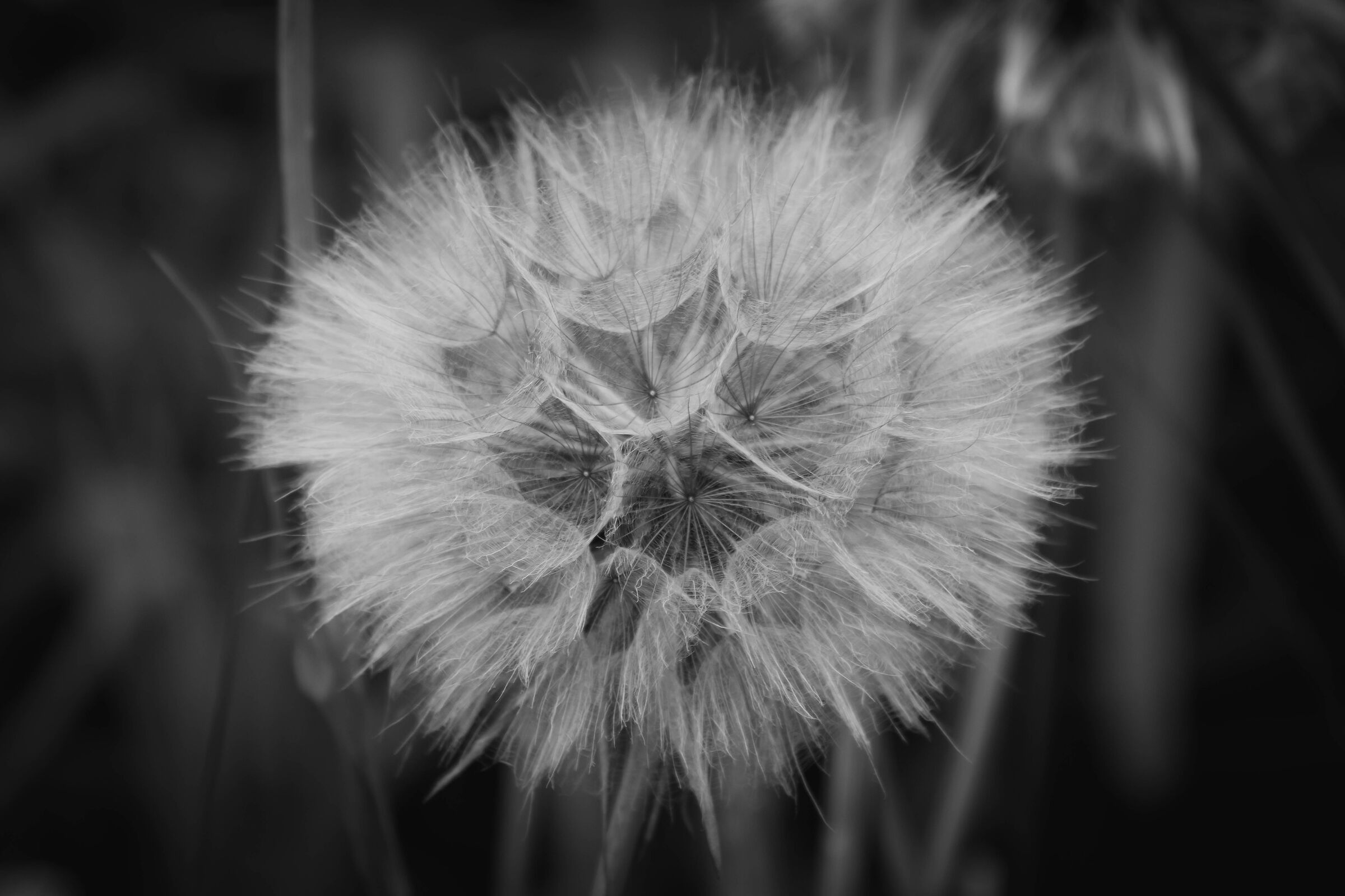 L'estate sta finendo