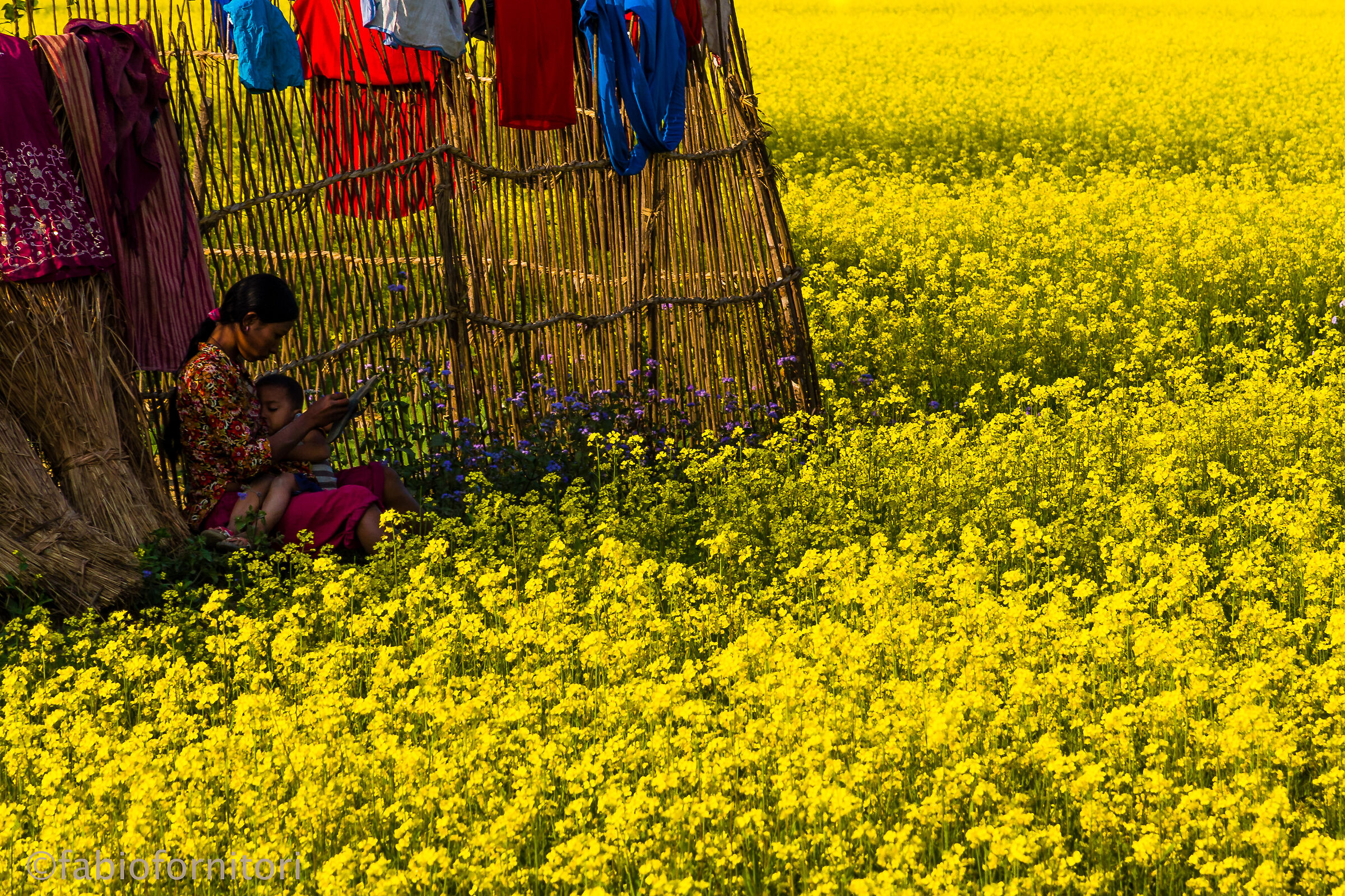 Sauraha , Woman in the yellow field  , Nepal 2010