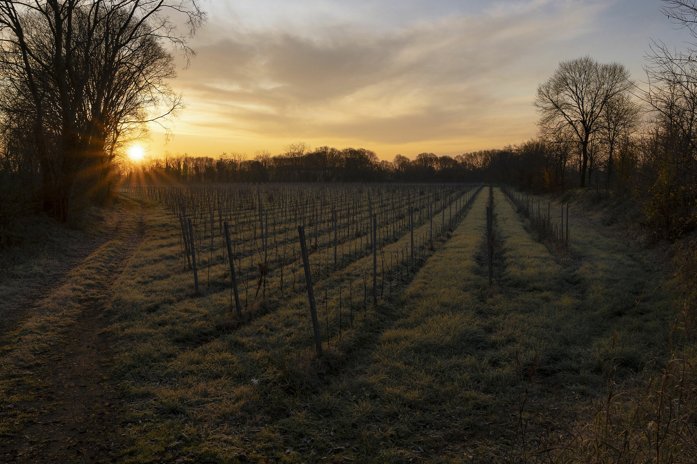 Sunrise in Franciacorta