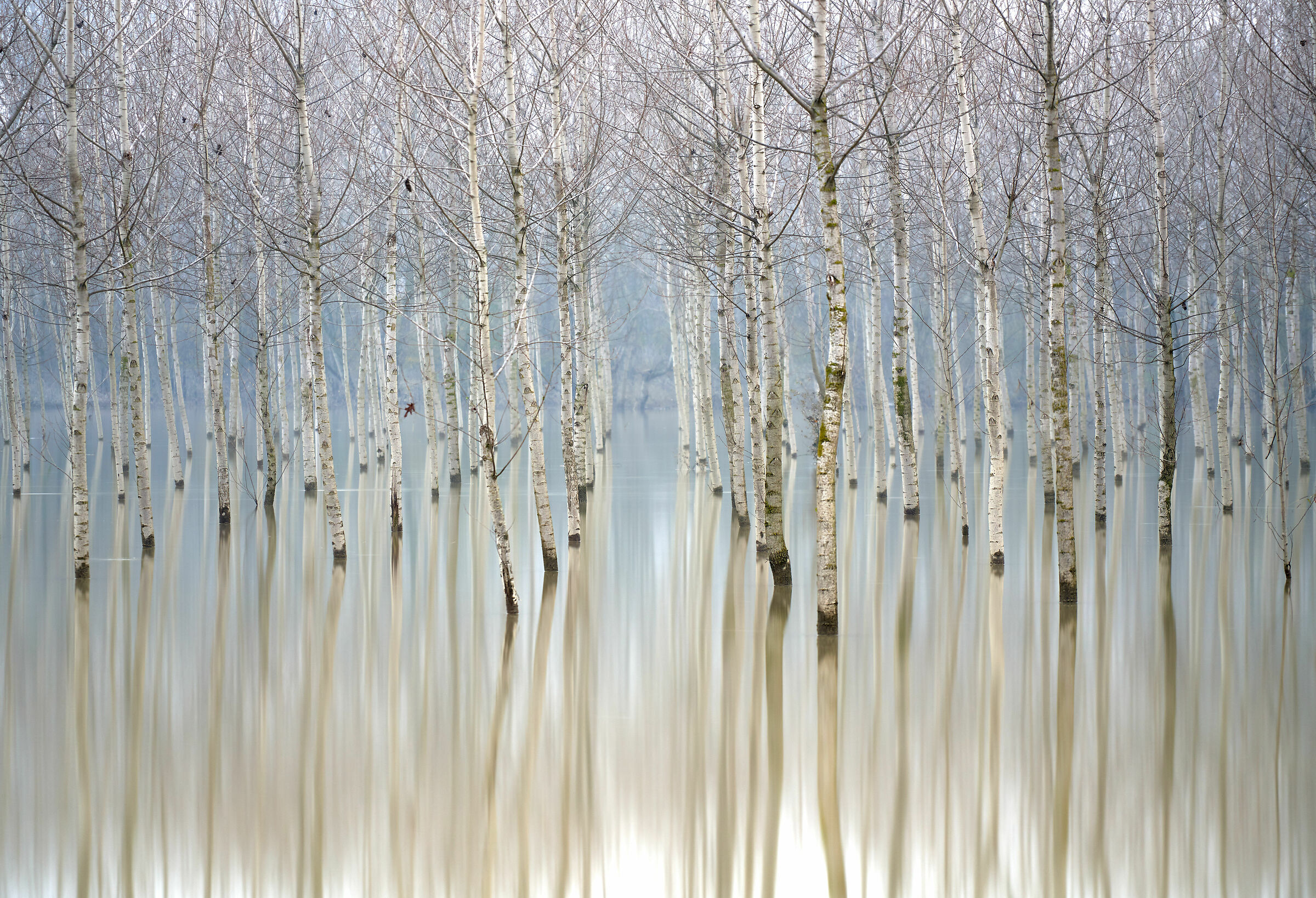 La piena del grande fiume...