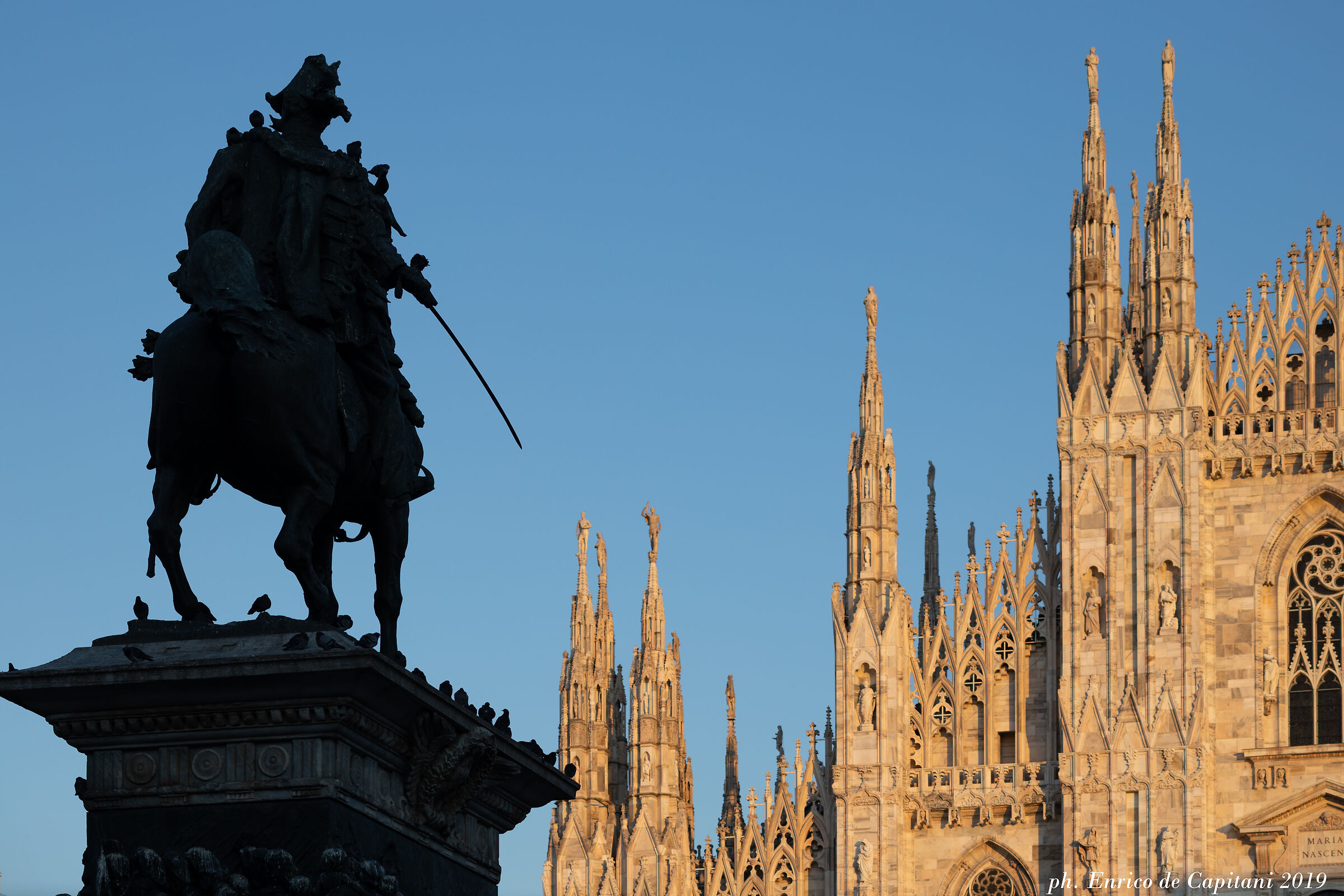 Il re e la cattedrale