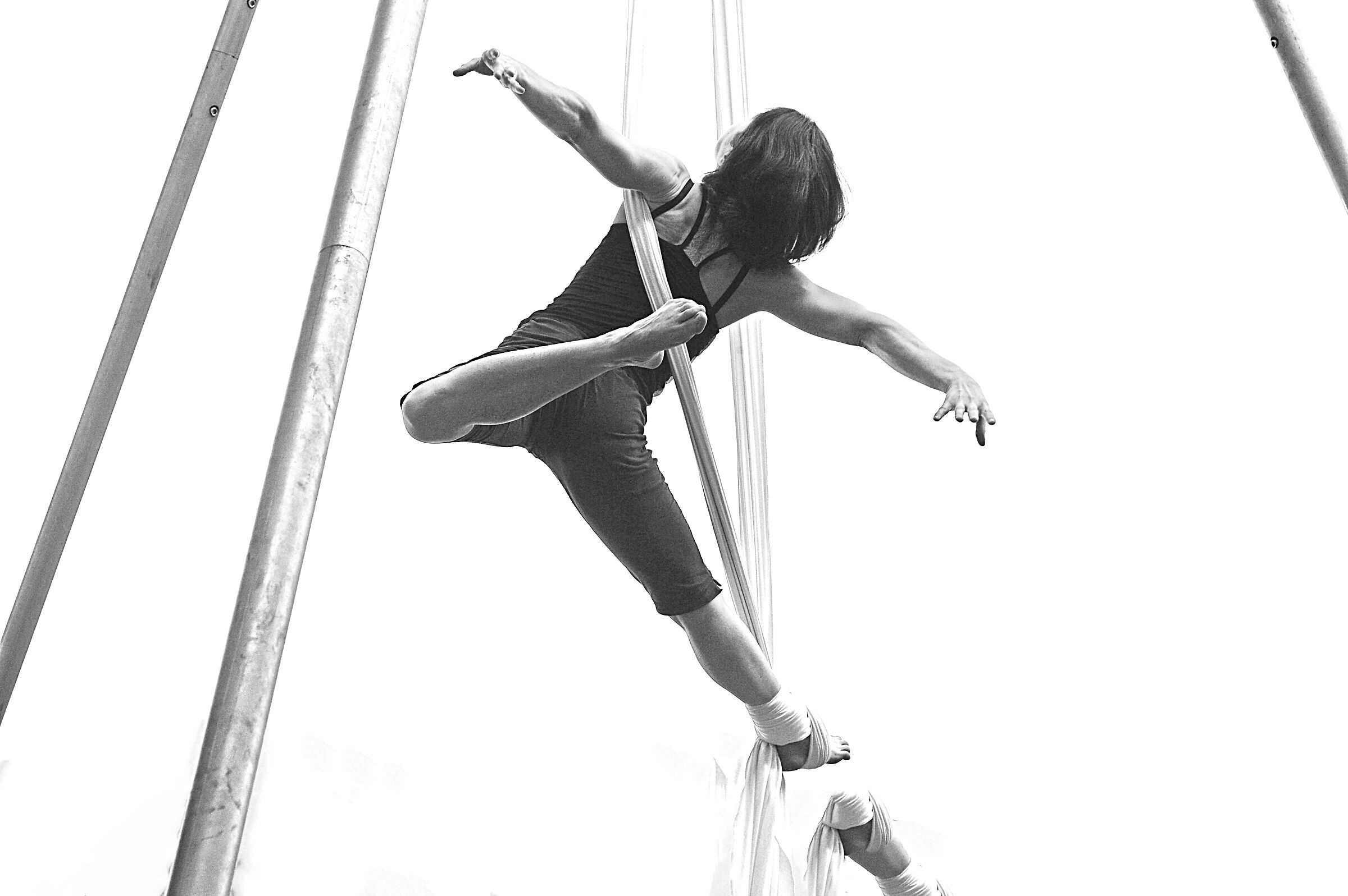 Acrobat3