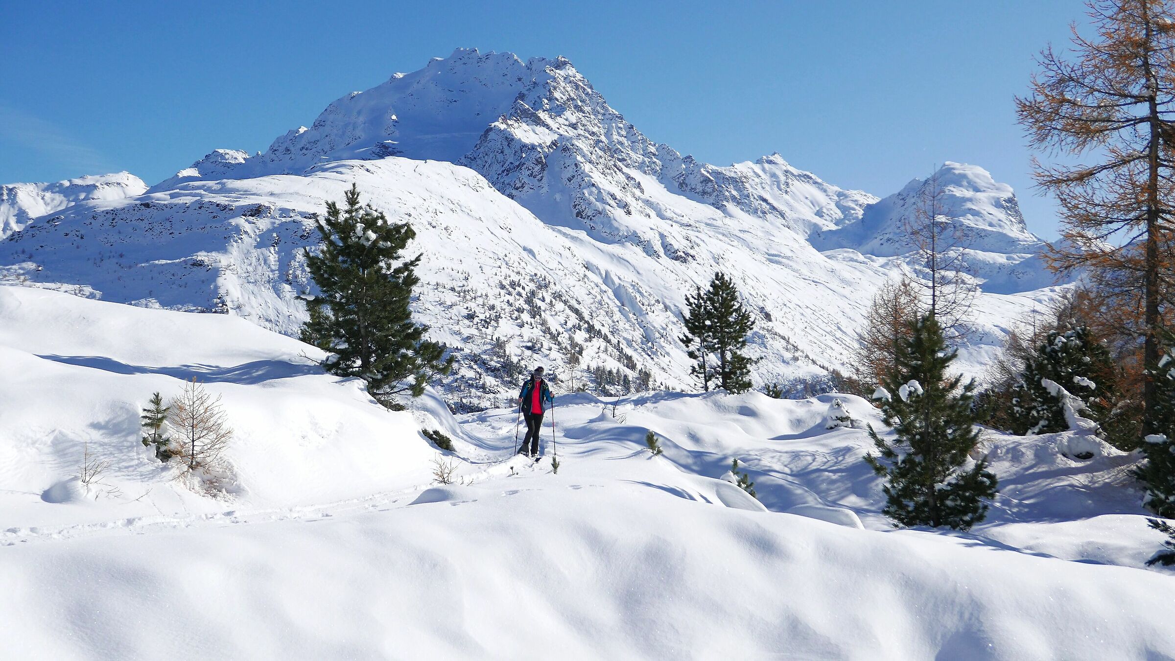 Val Viola Verva Snowshoes
