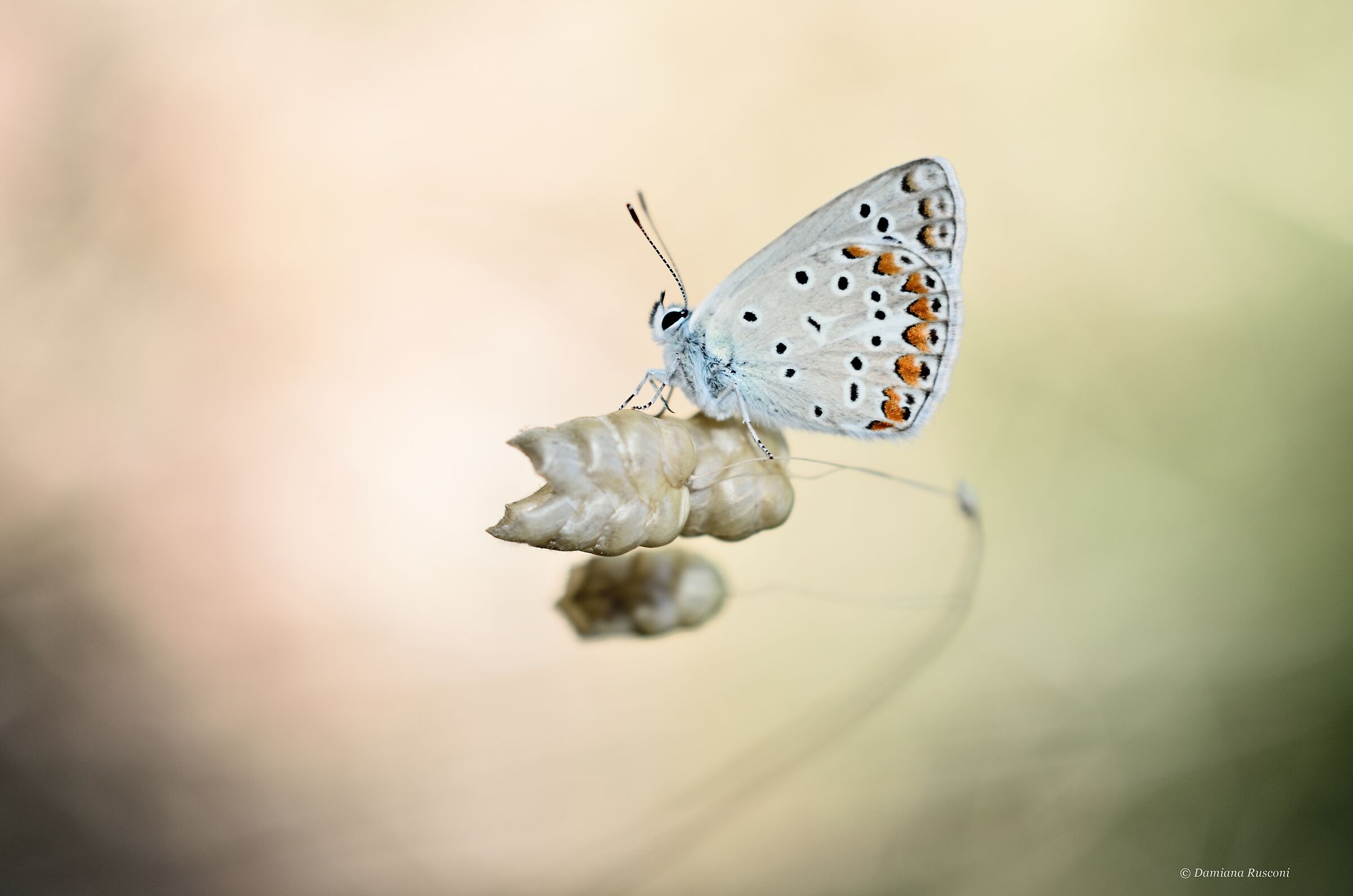 Equilibrio molto precario
