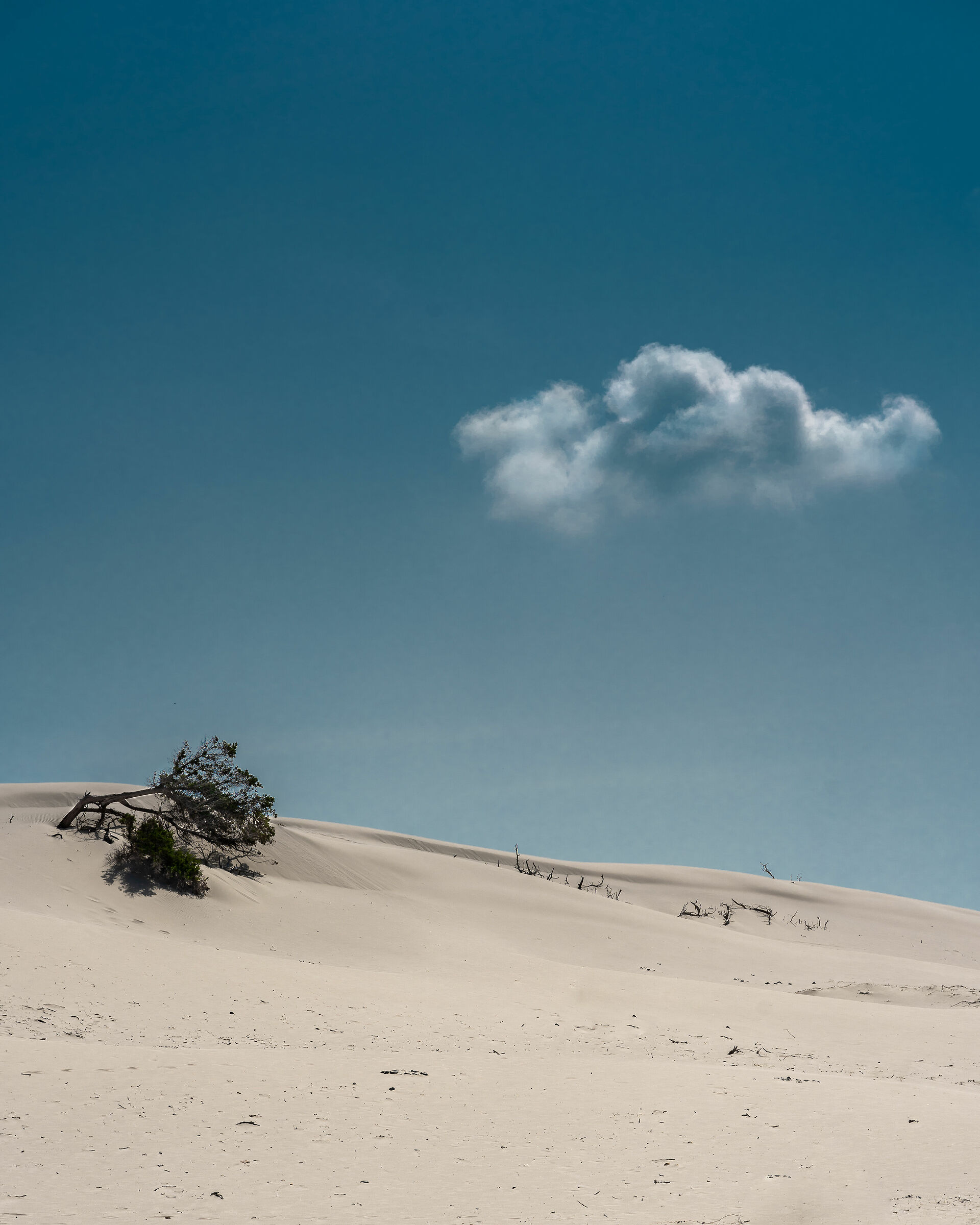 The dunes of Porto Pino