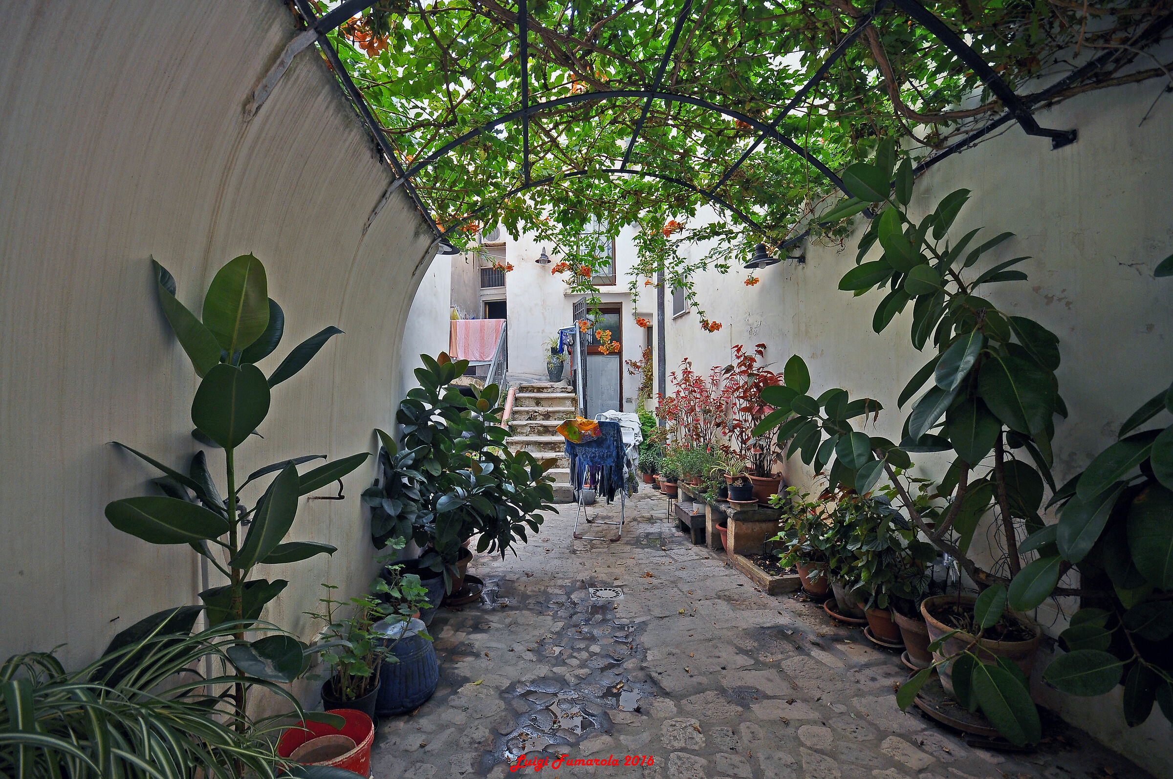cortile nel borgo antico
