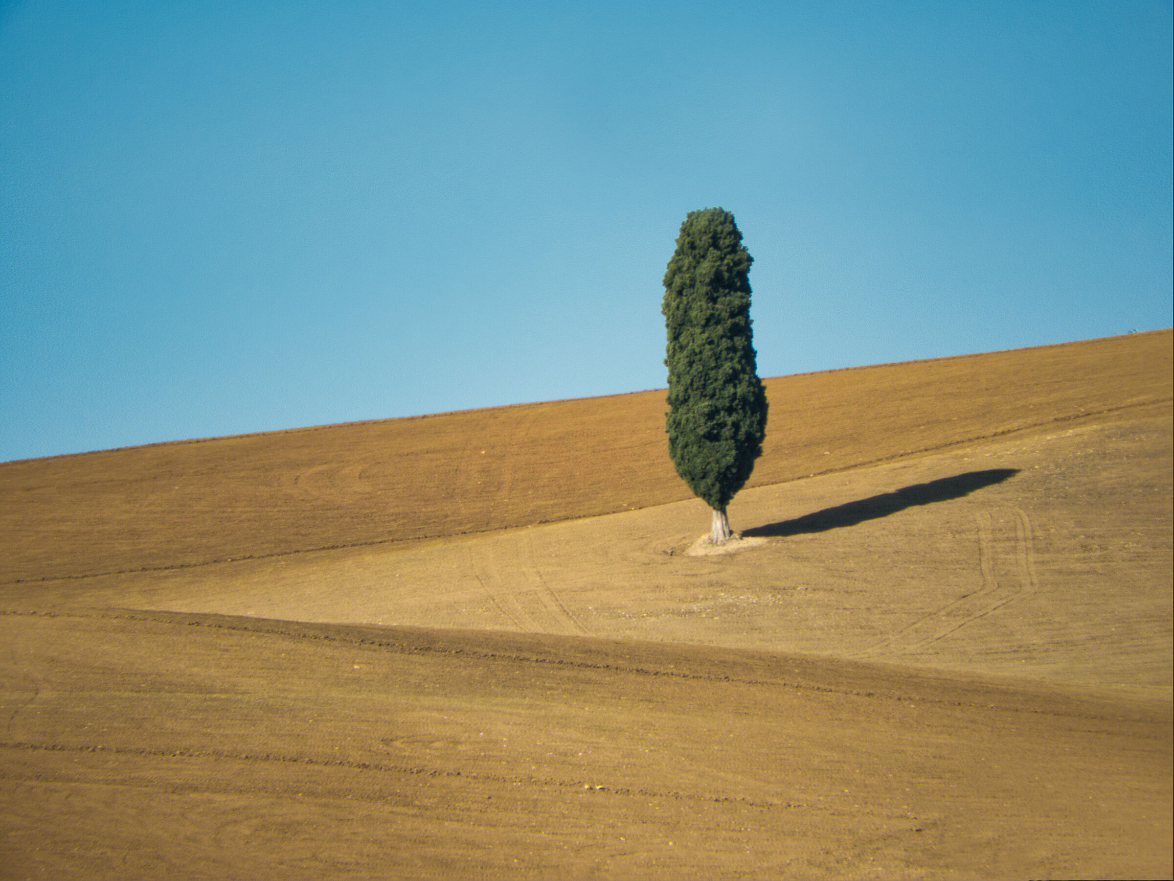 Minimal in terra Romagnola