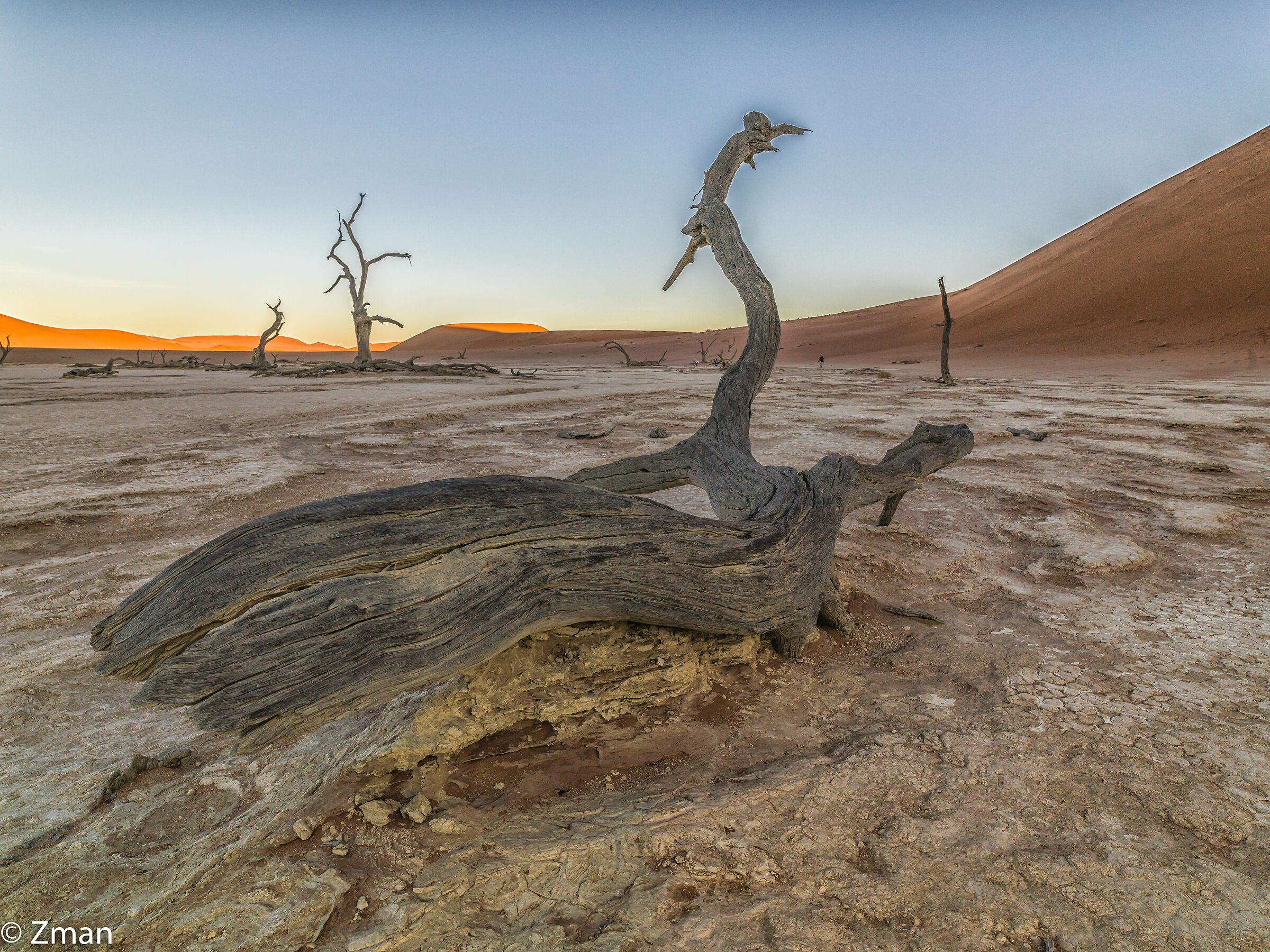Deadflei Dead Acacia Trees