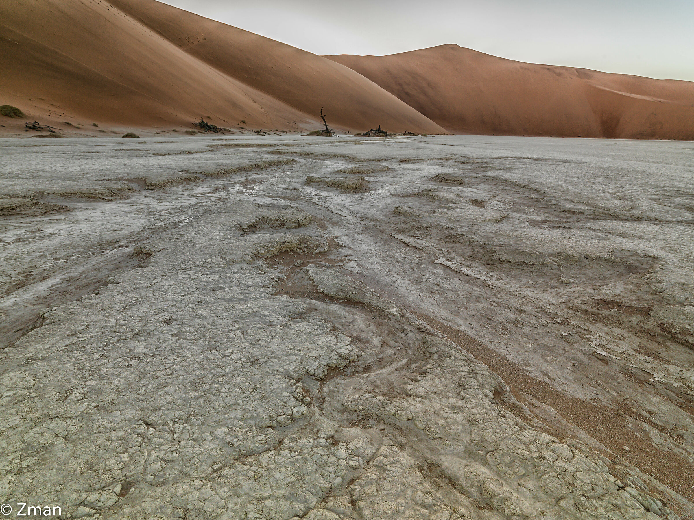 Deadflei Dead Acacia Trees