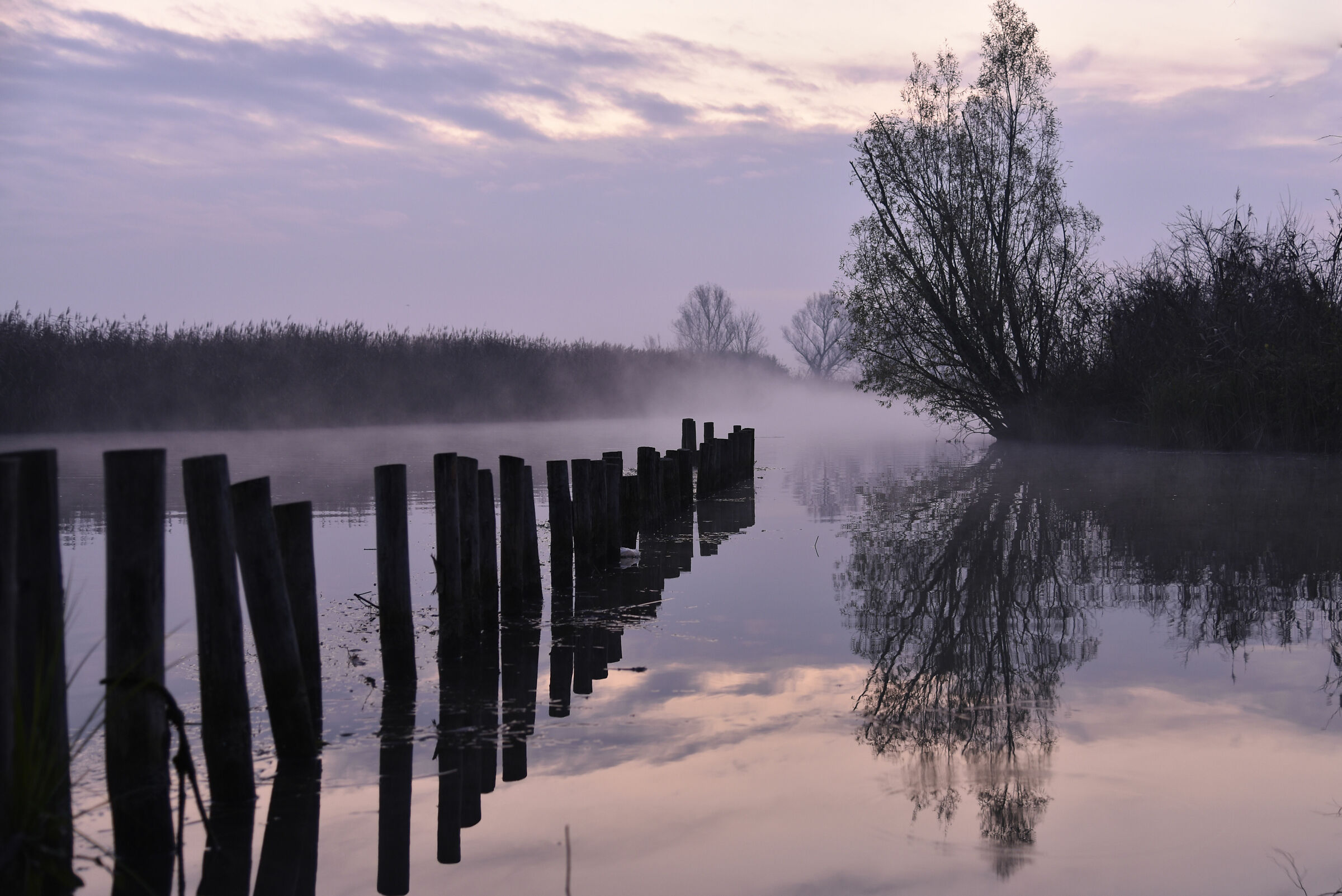 The early morning river