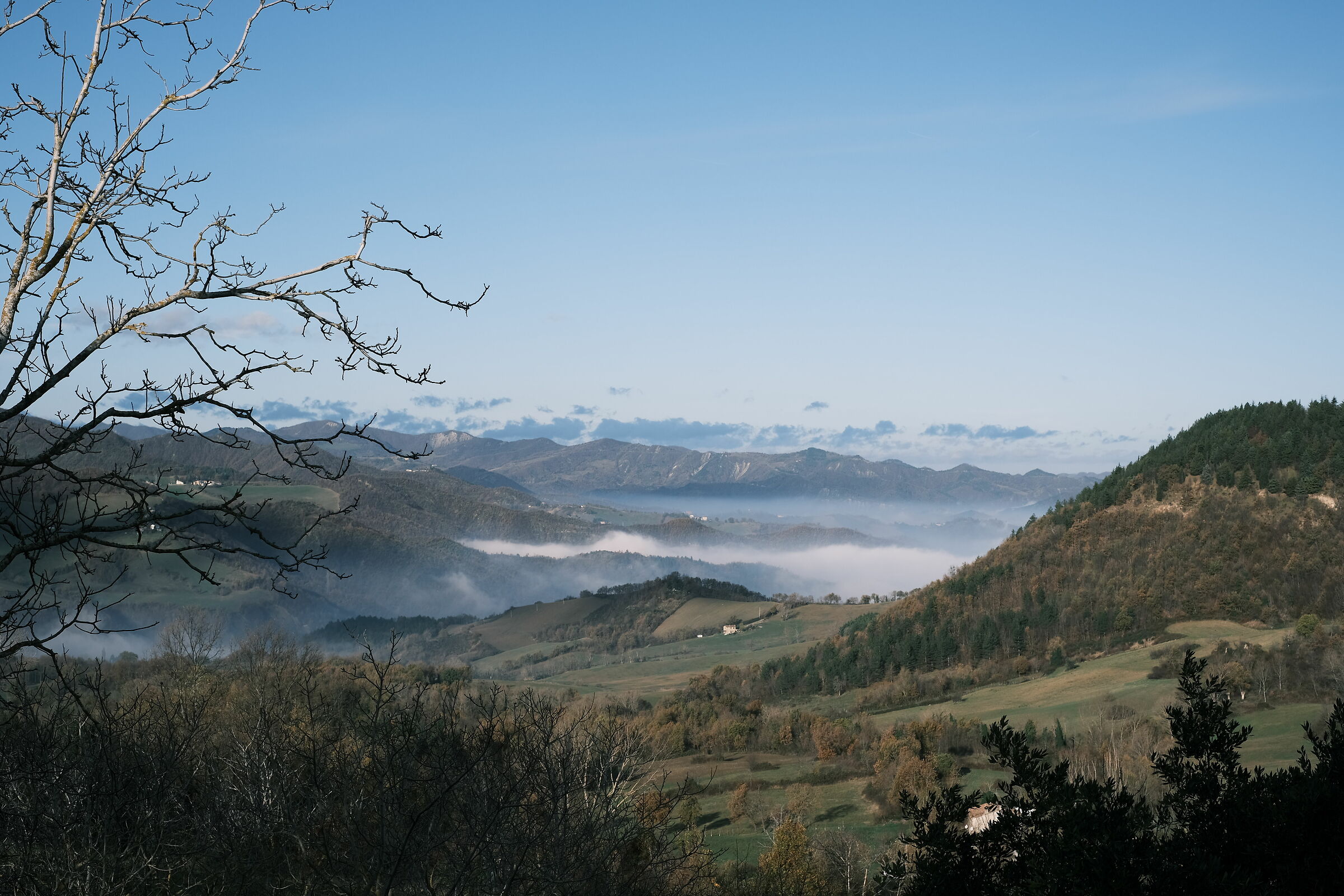 Fujifilm superia film simulation