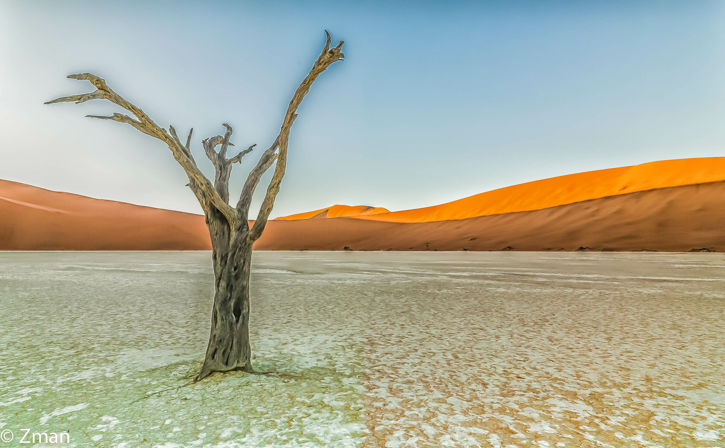 Deadflei Dead Acacia Trees