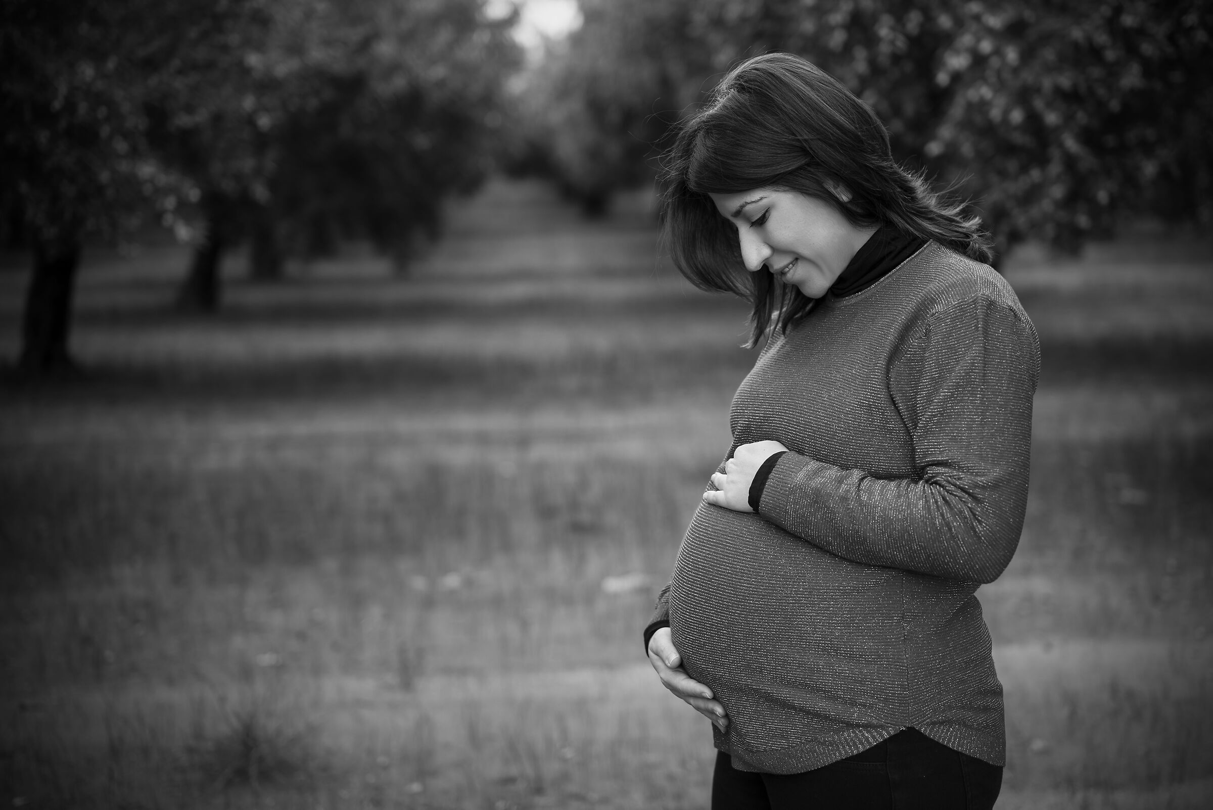 Il cerchio della vita