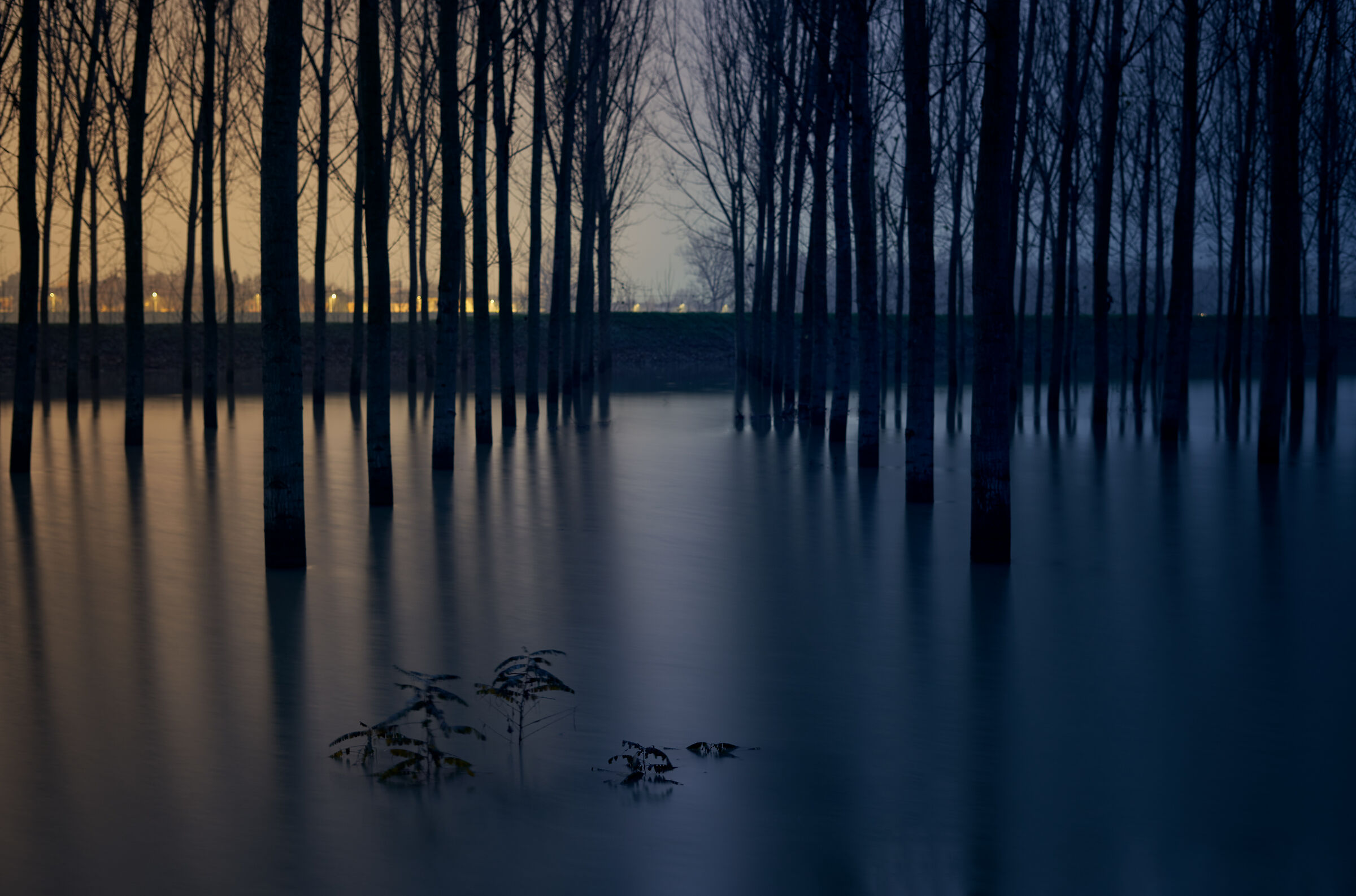 the 2 faces of the Po' flood