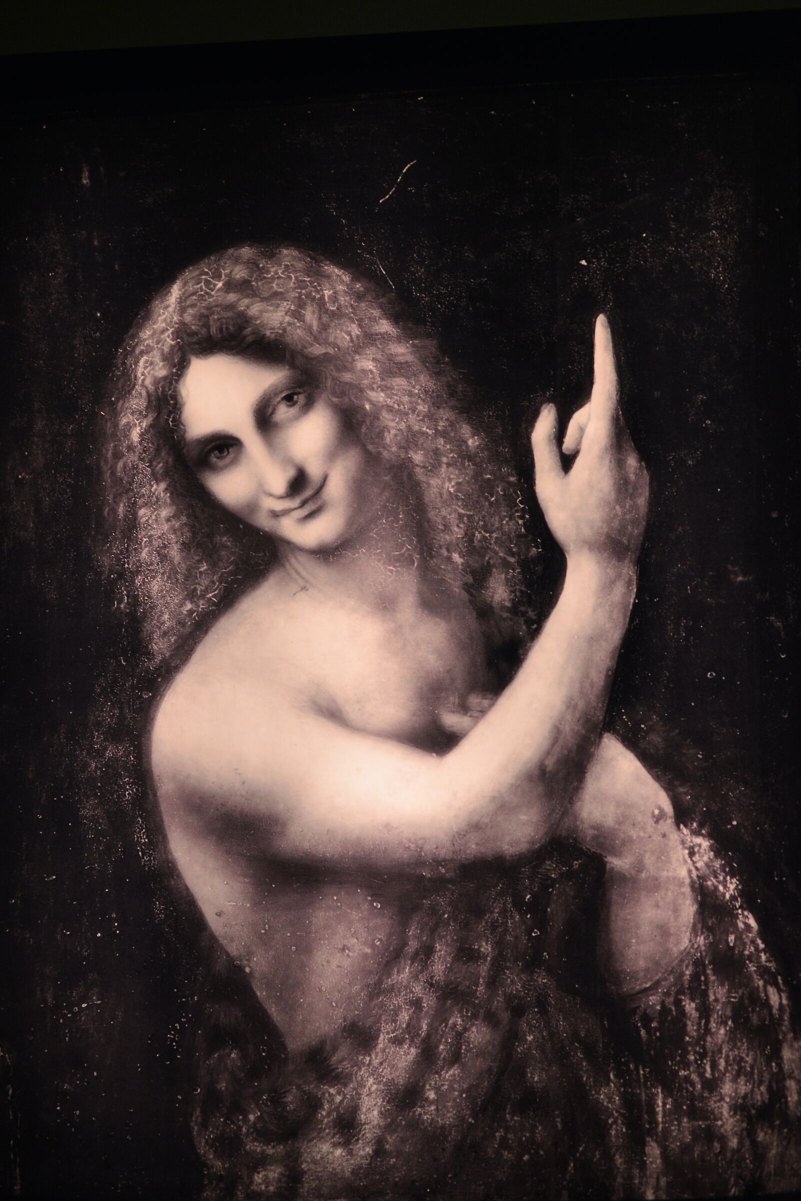 Ritratto vintage, copyright Leonardo Da Vinci