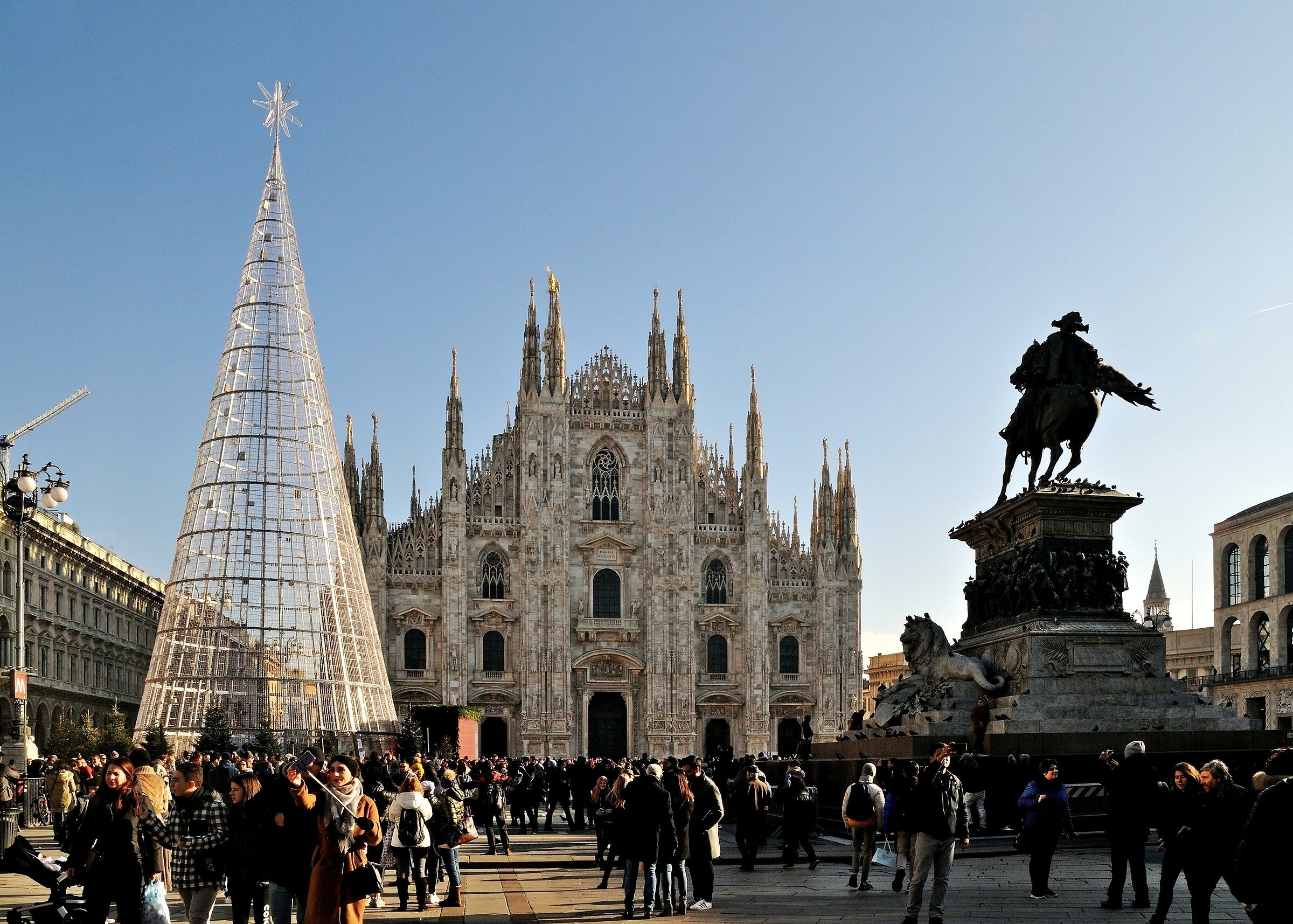 Buon Natale senza uccidere alberi!
