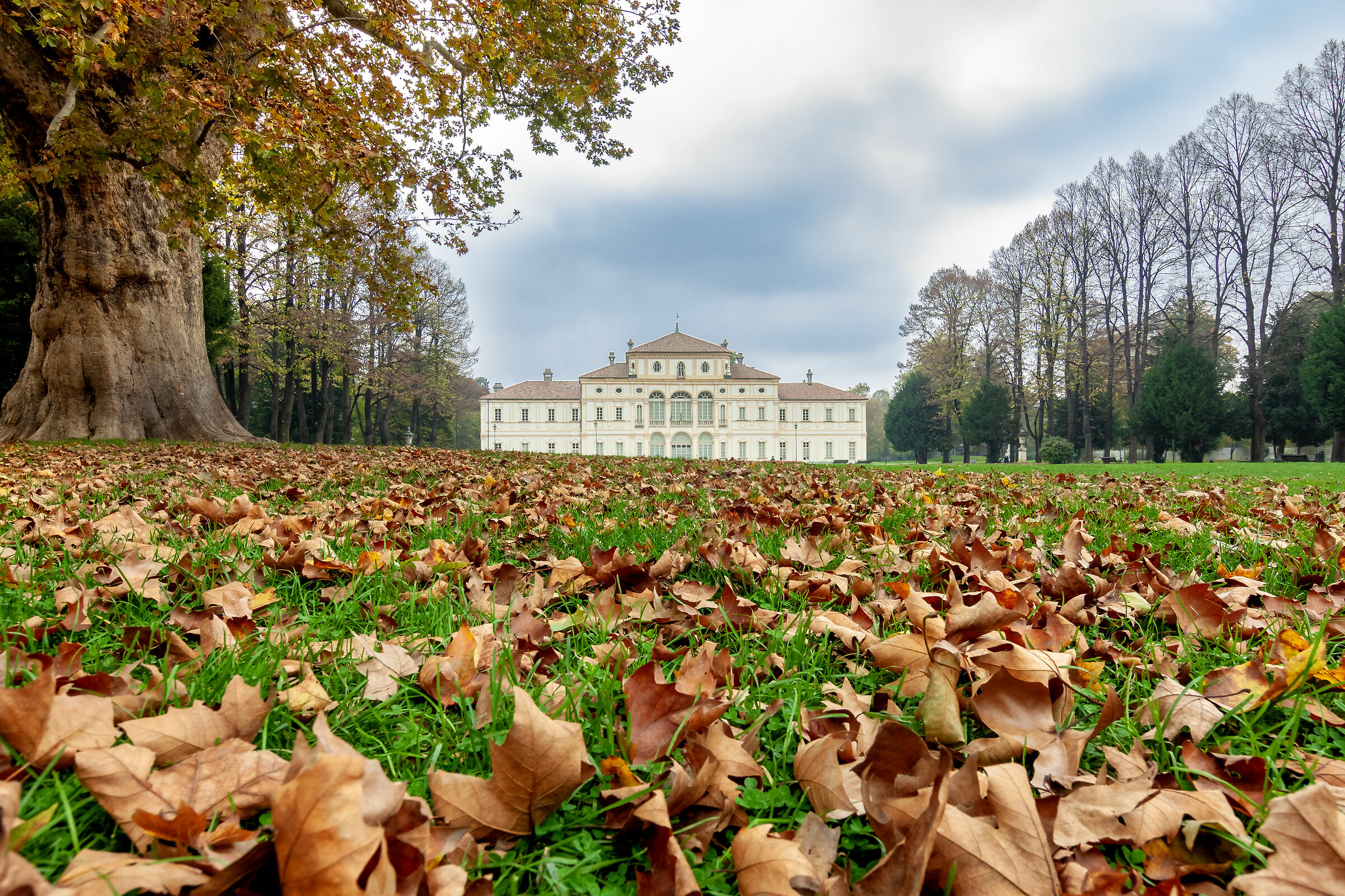 Torino, Parco della Tesoriera
