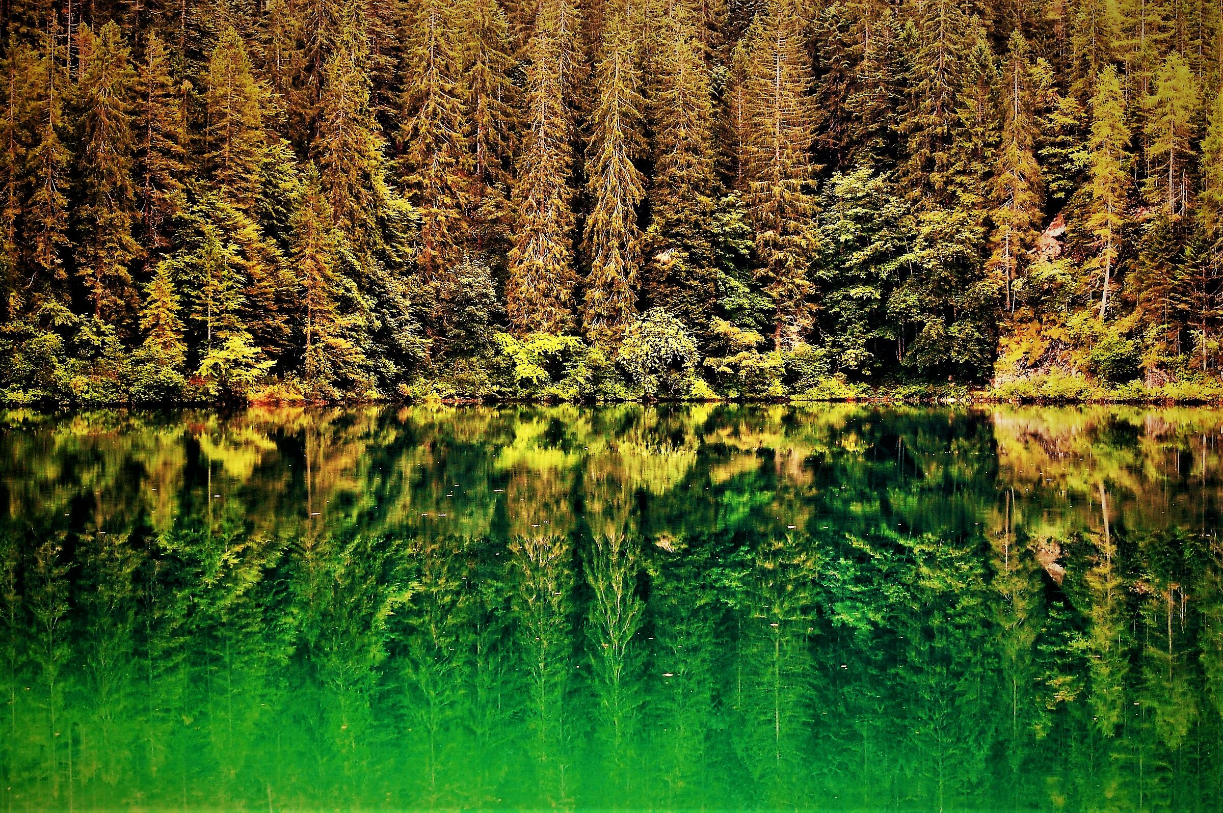 Late autumn reflections