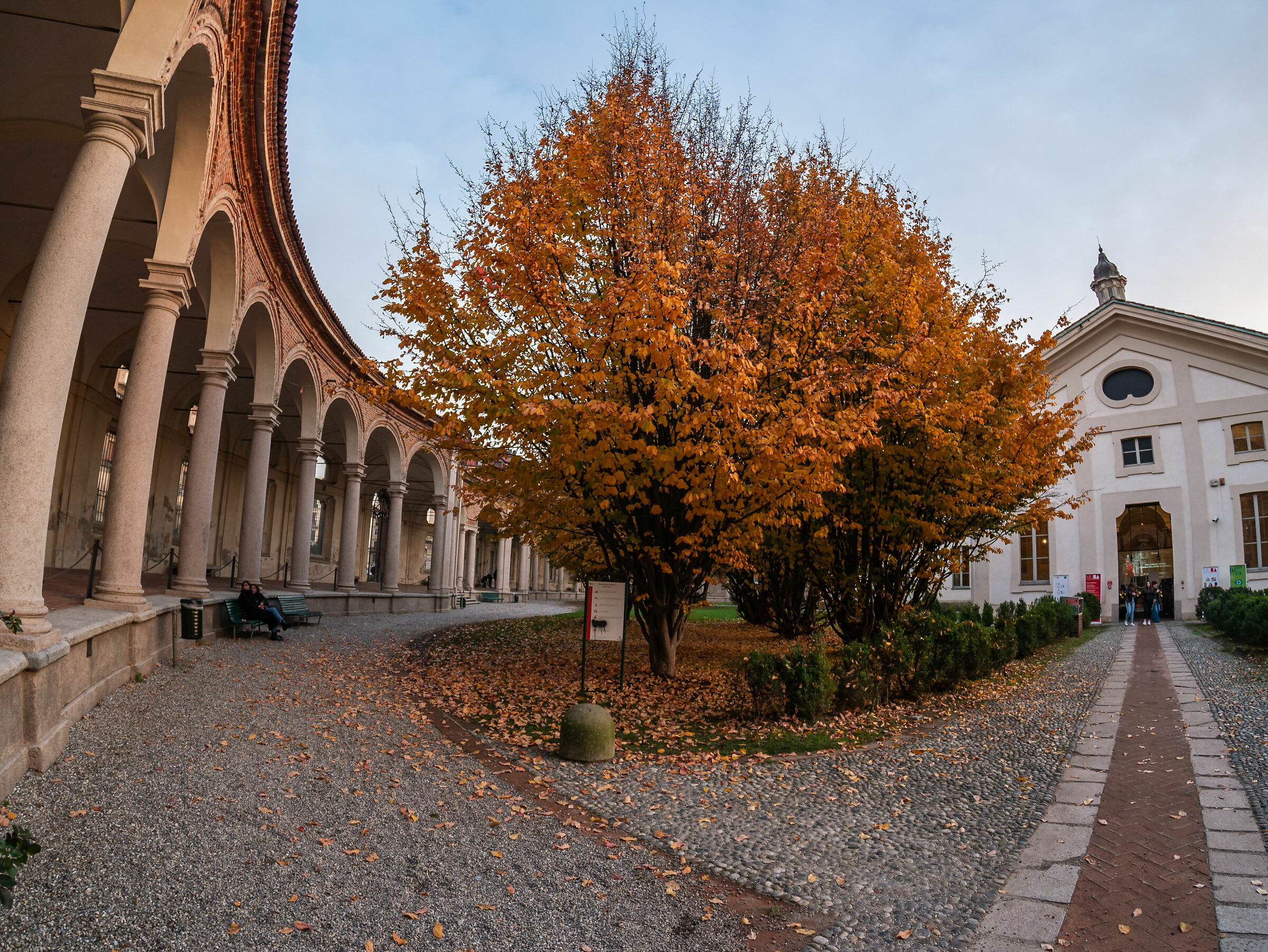 Rotonda Della Besana - Milano