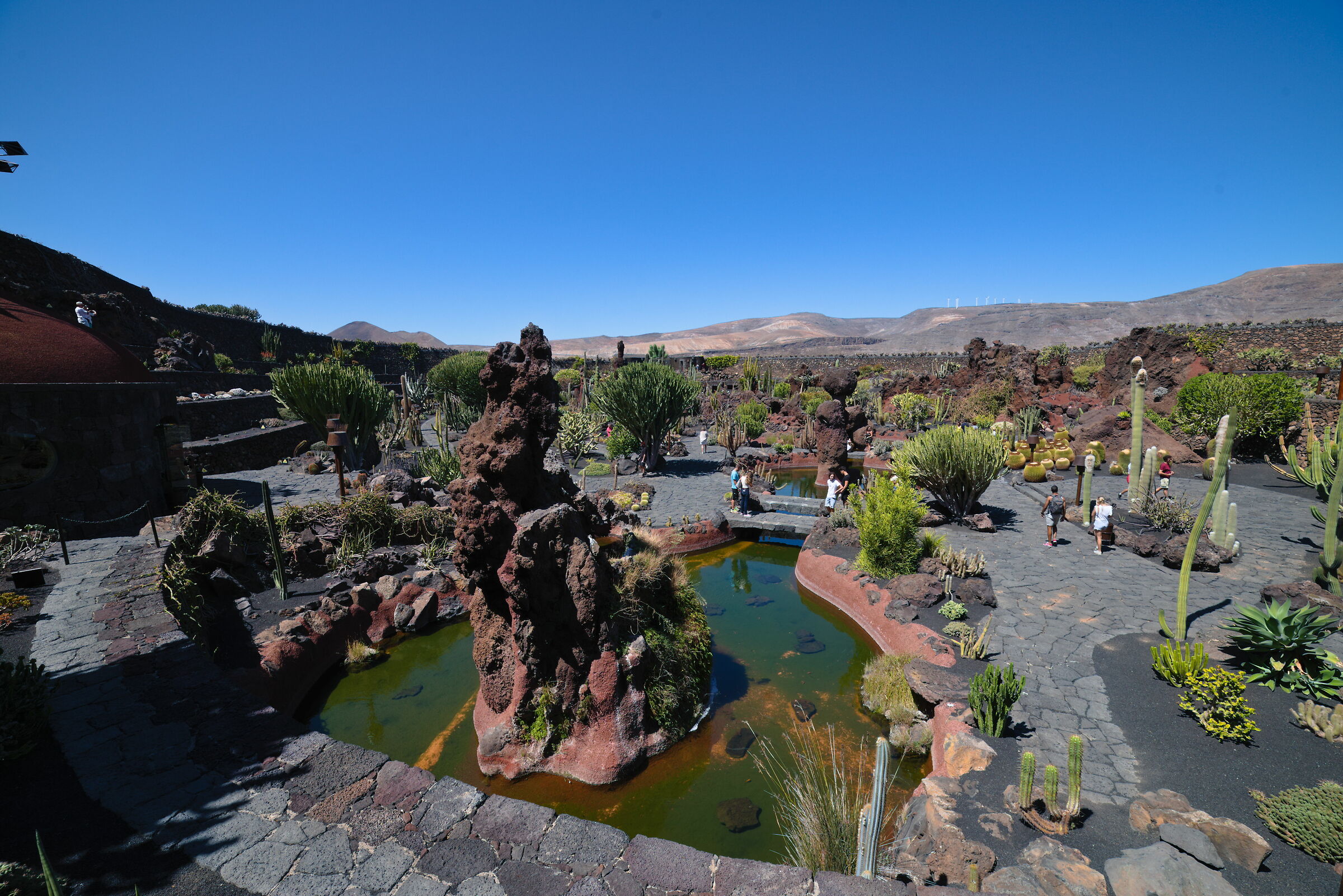 el giardin de cactus 1