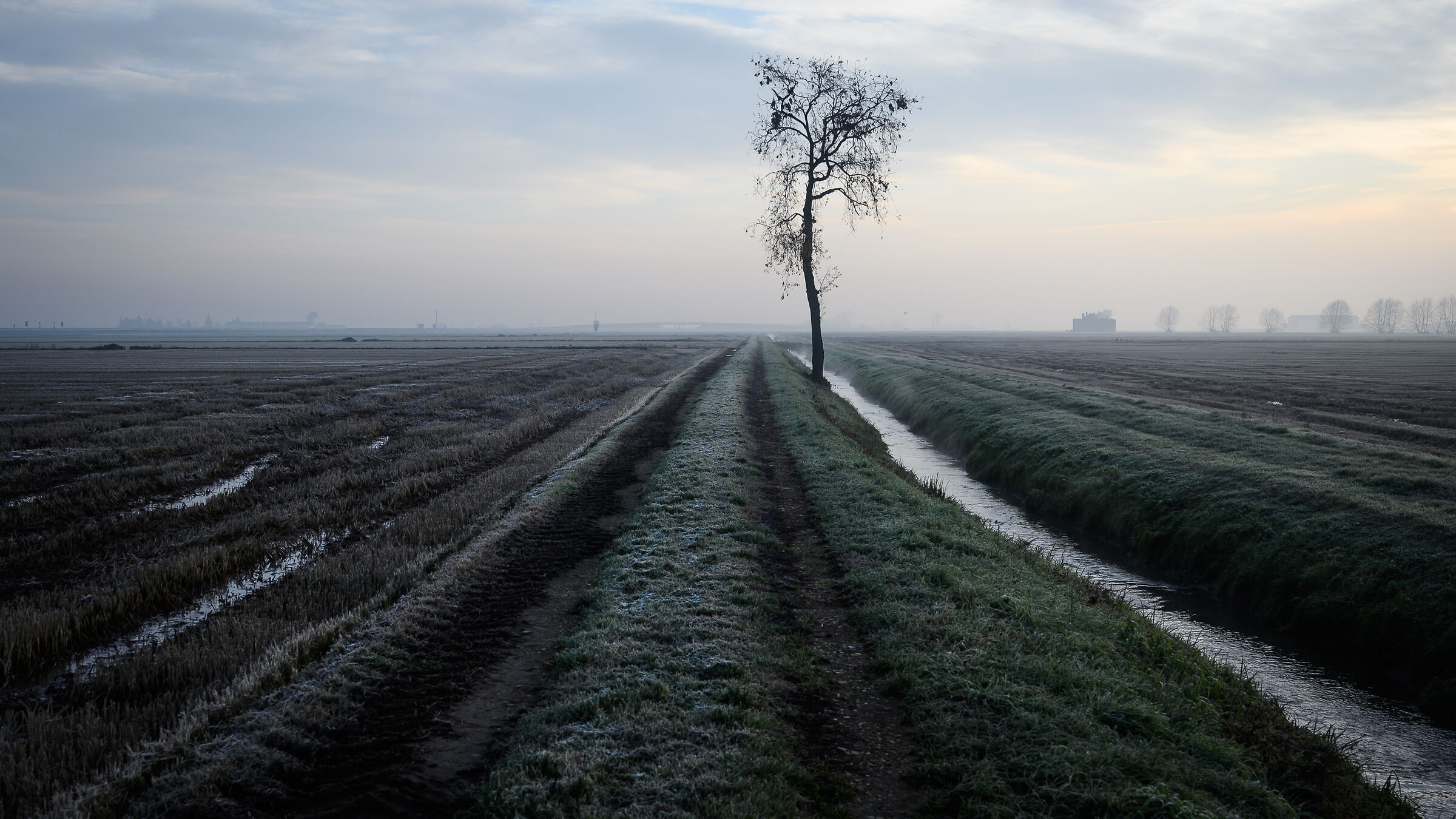 Risaie, verso l'inverno.