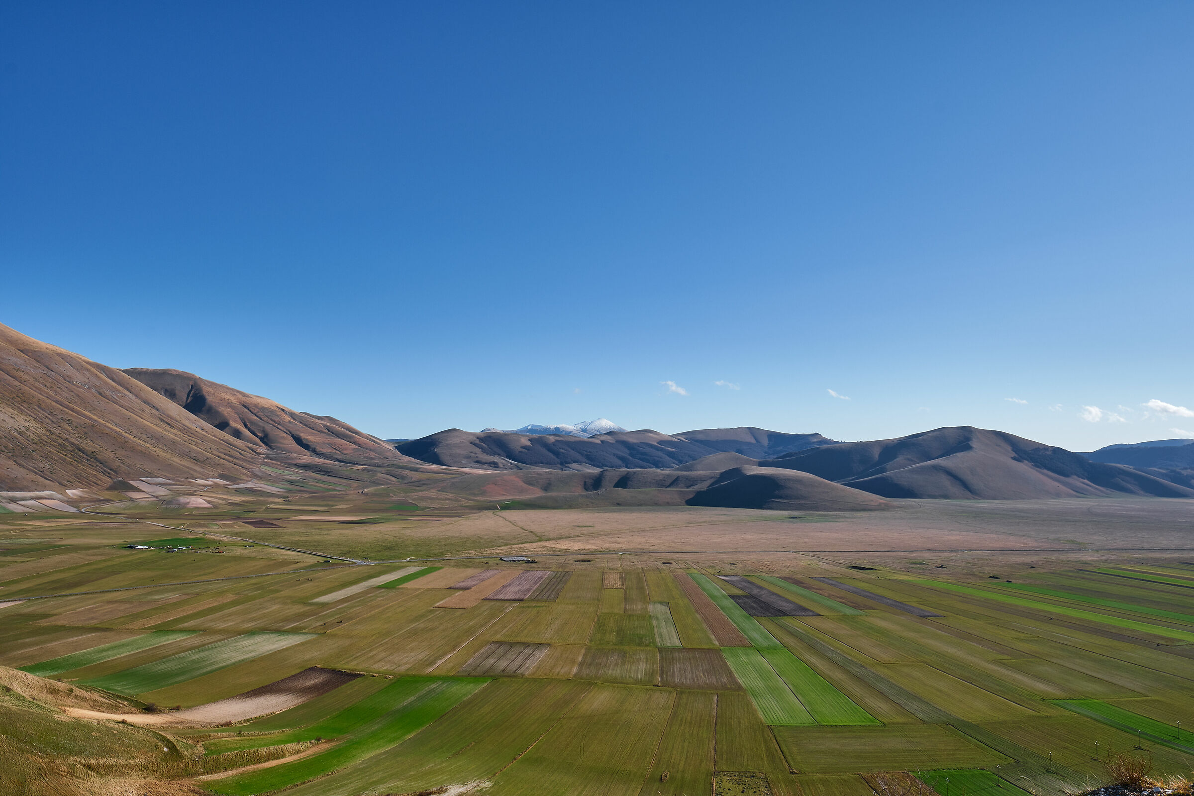 Autumn Castelluccio